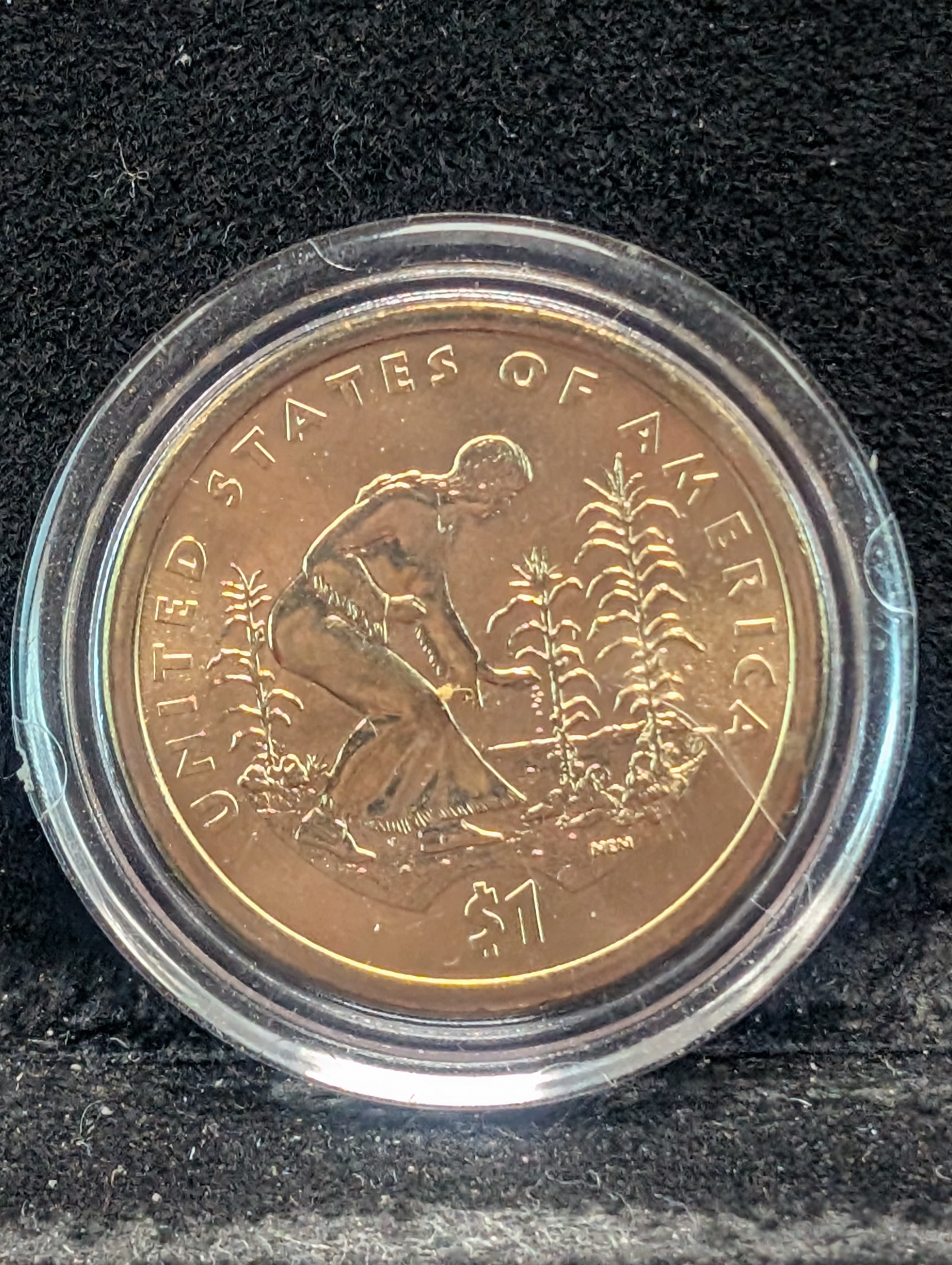 2009 "Three Sisters" Native American Golden Dollar, GEM BU, In Capsule