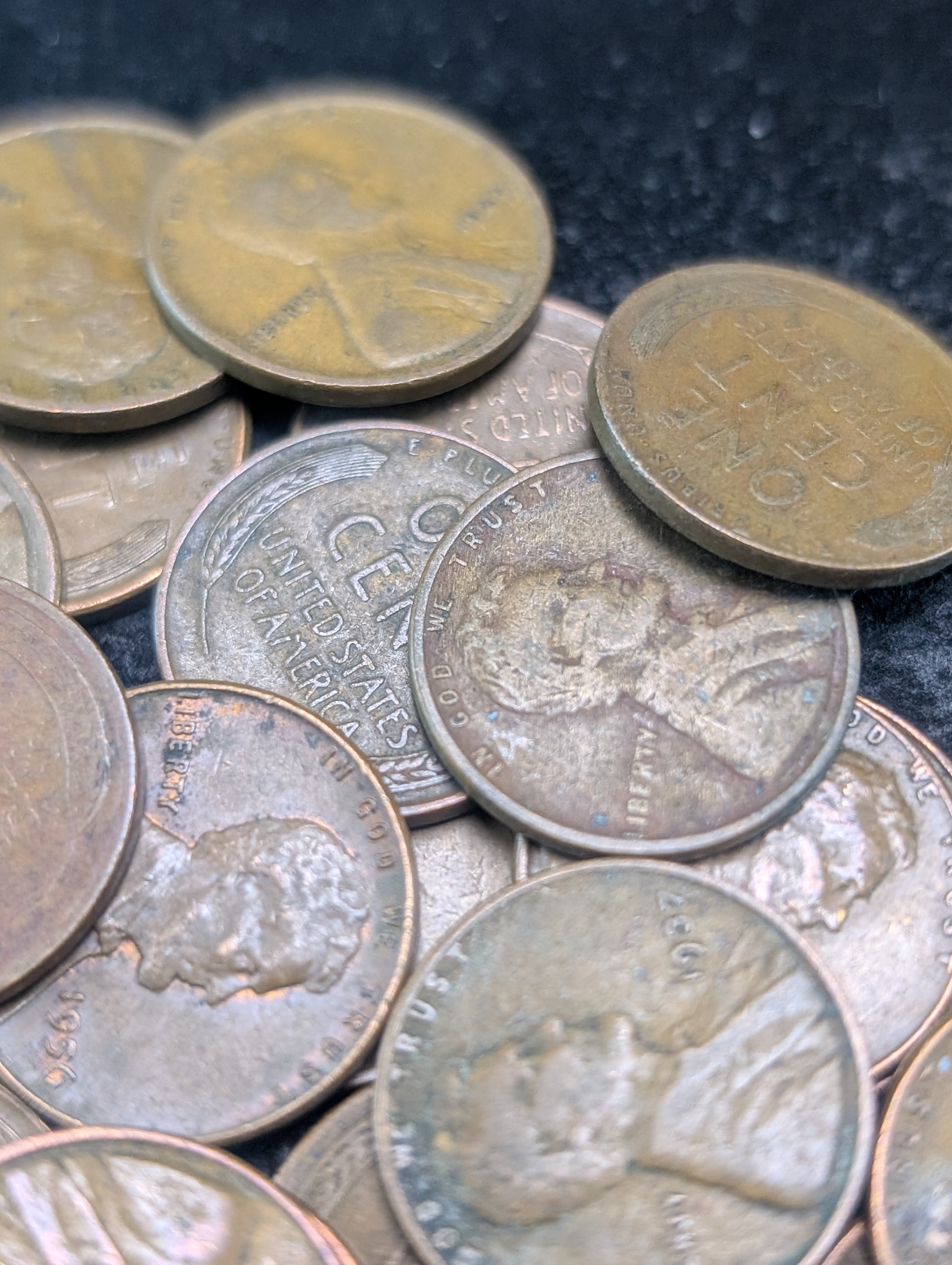(50) Assorted Unsearched Lincoln Wheat Cents