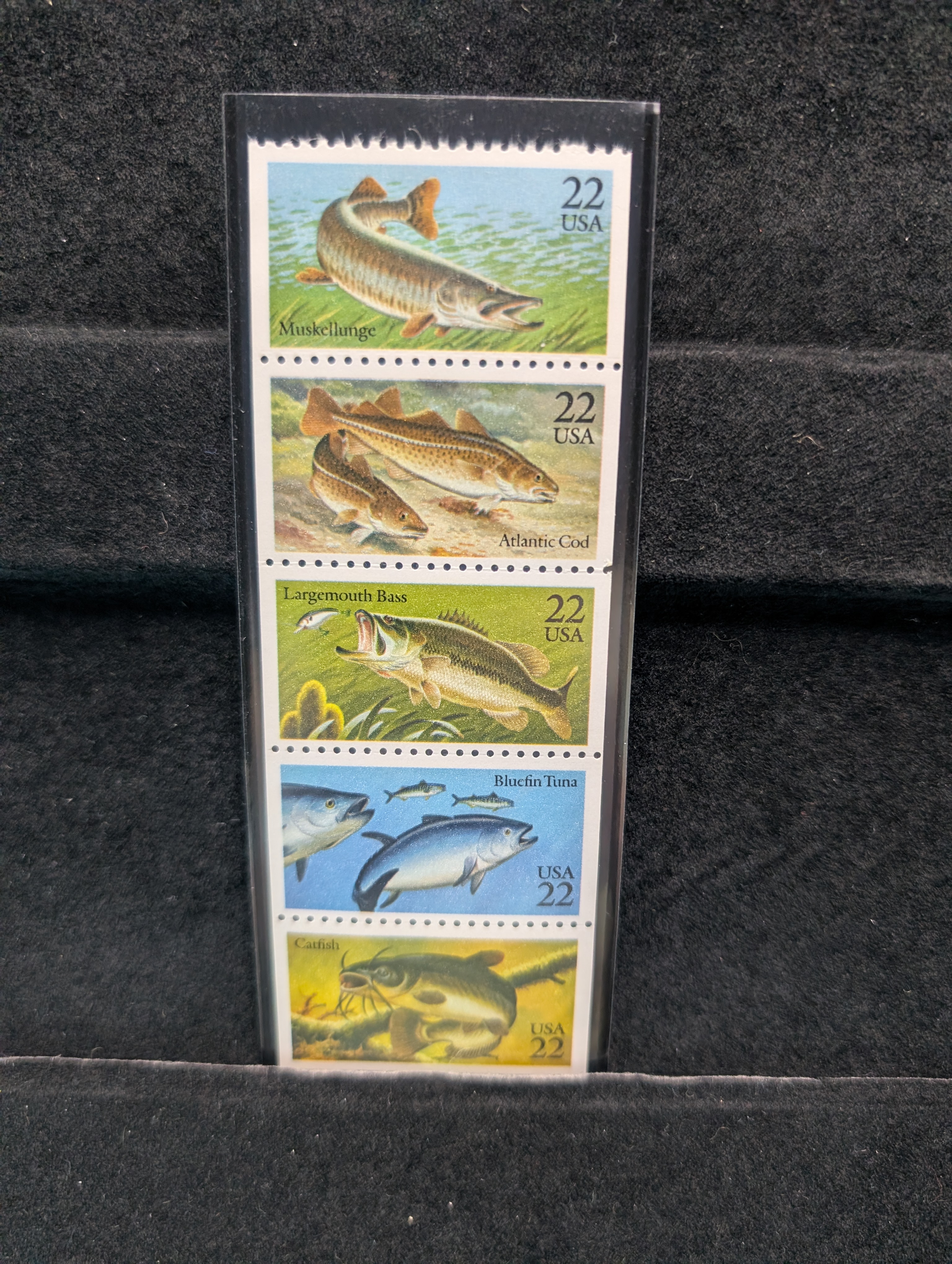 Fish Booklet Of Stamps, All Mint, Original Gum, Never Hinged