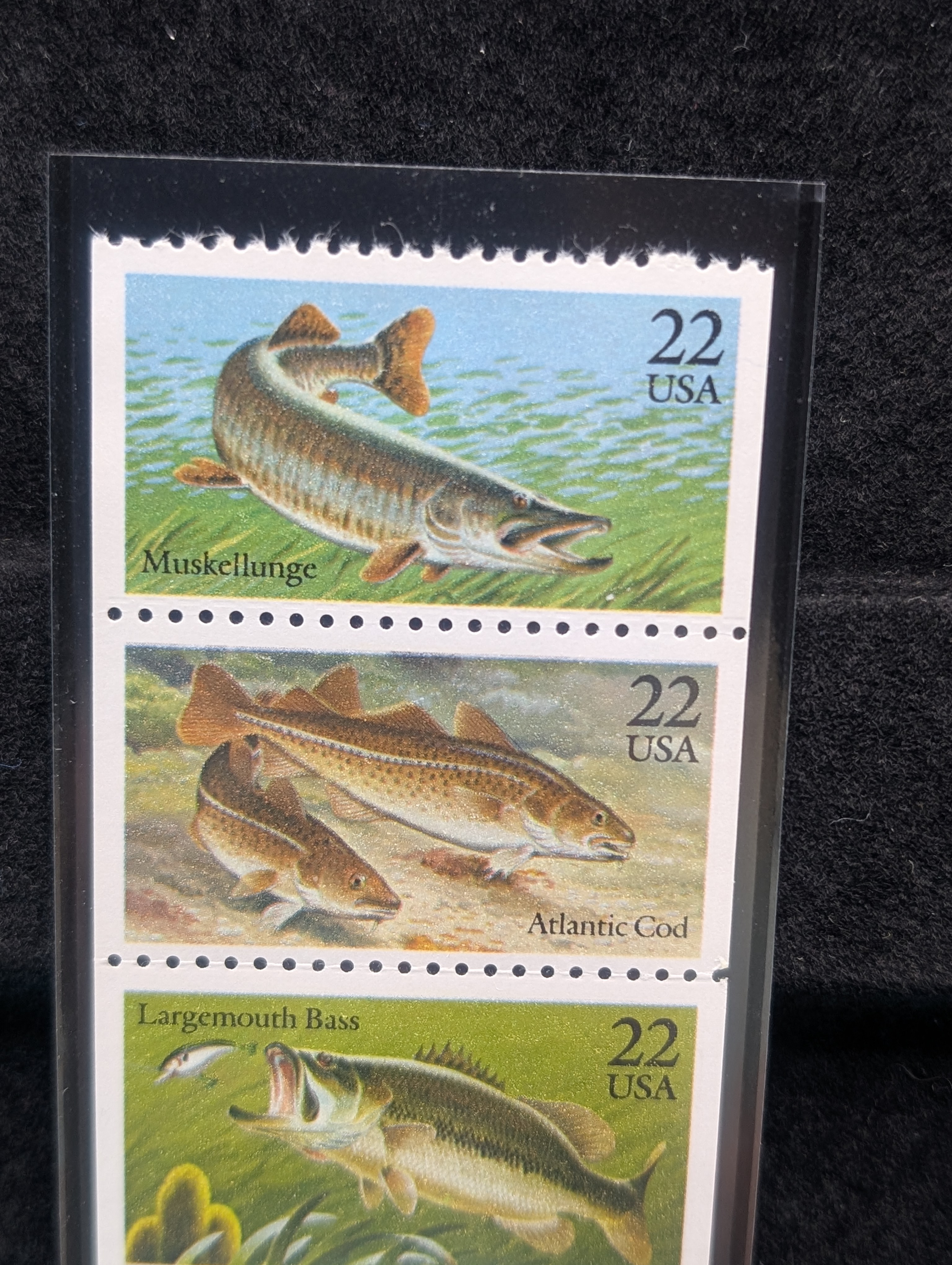Fish Booklet Of Stamps, All Mint, Original Gum, Never Hinged