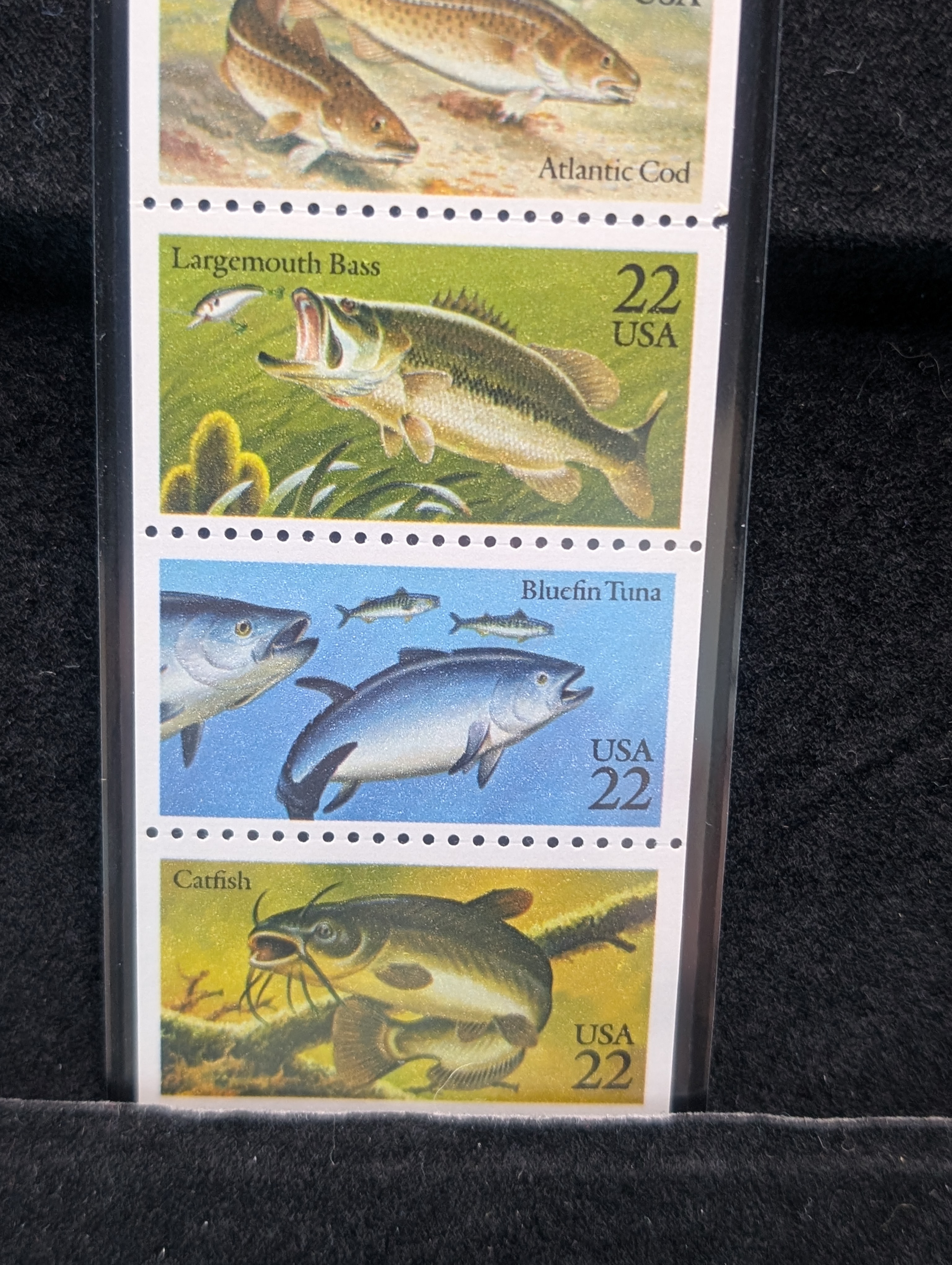 Fish Booklet Of Stamps, All Mint, Original Gum, Never Hinged
