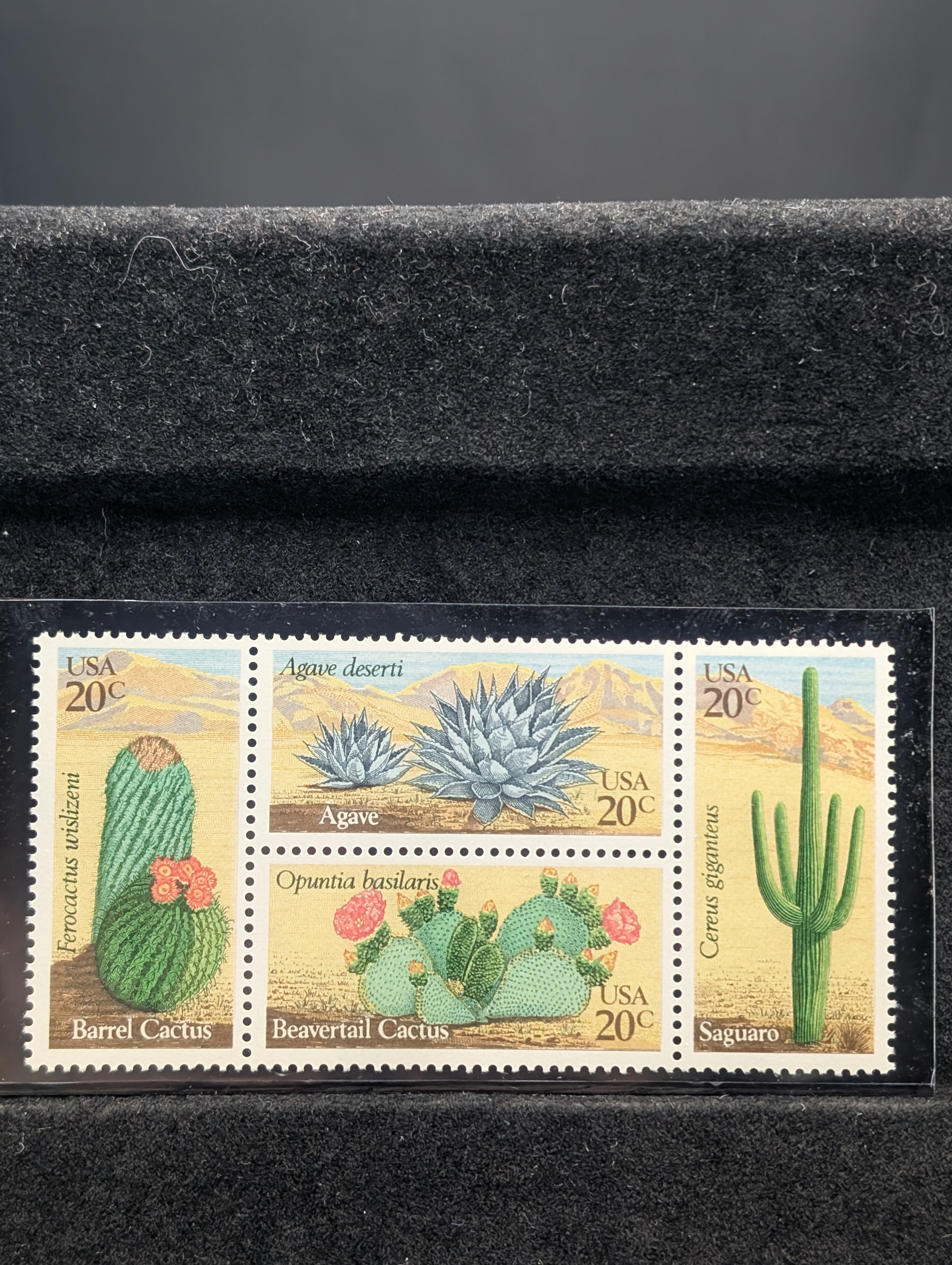 Desert Plants Booklet Of Stamps, All Mint, Original Gum, Never Hinged