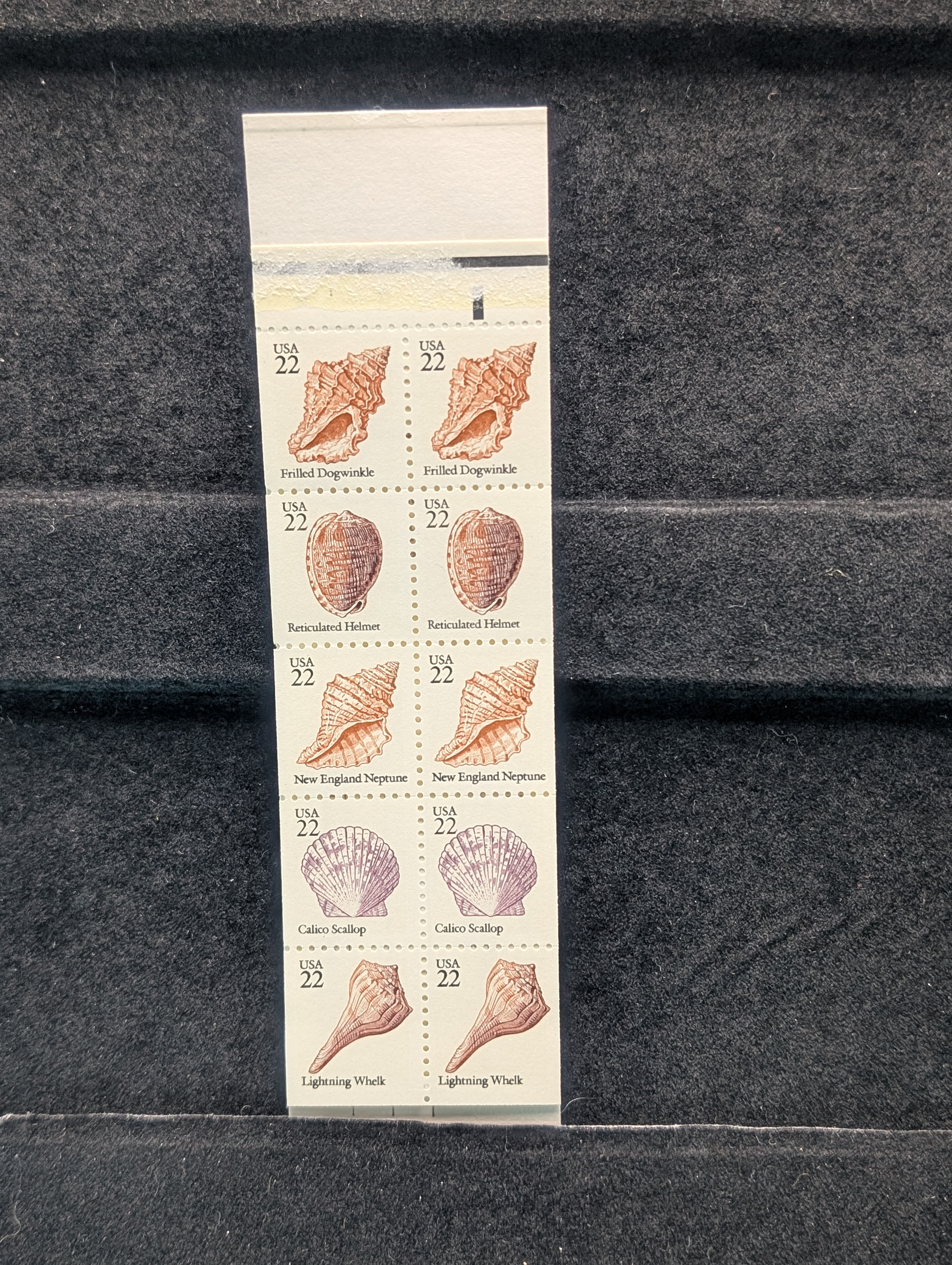 1984 Seashells Booklet Pane Of Stamps, All Mint, Original Gum, Never Hinged