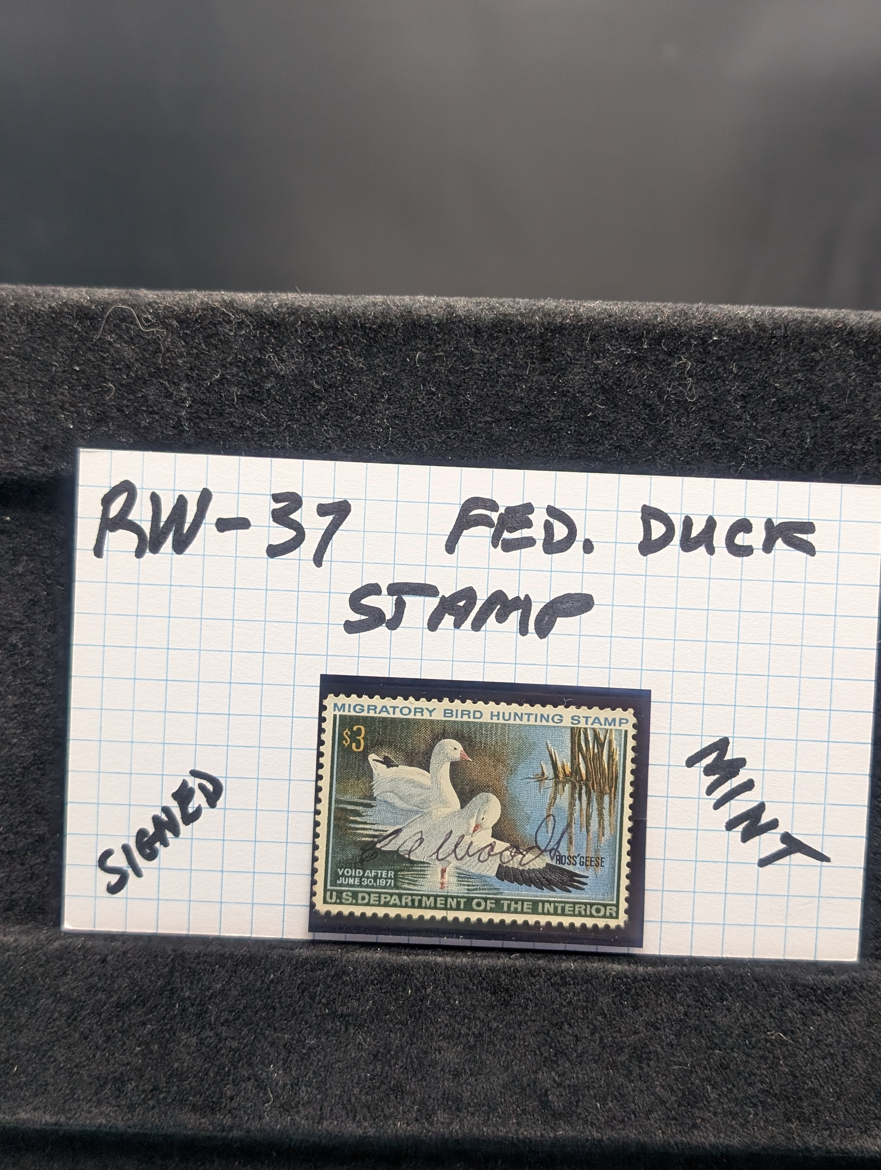 1970 Dept. of Interior Duck Stamp, RW-37, Signed