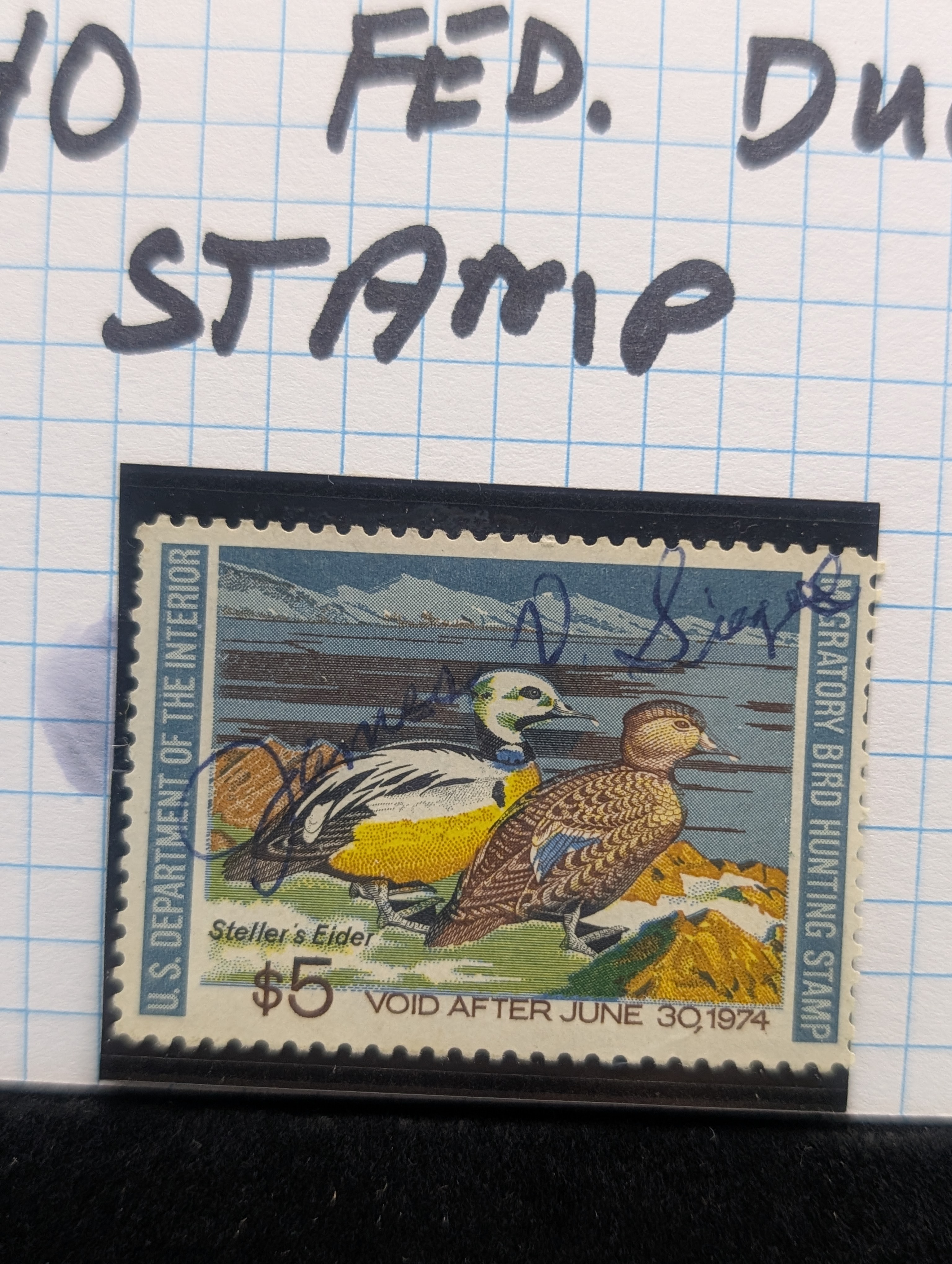 1973 Dept. of Interior Duck Stamp, RW-40, Signed