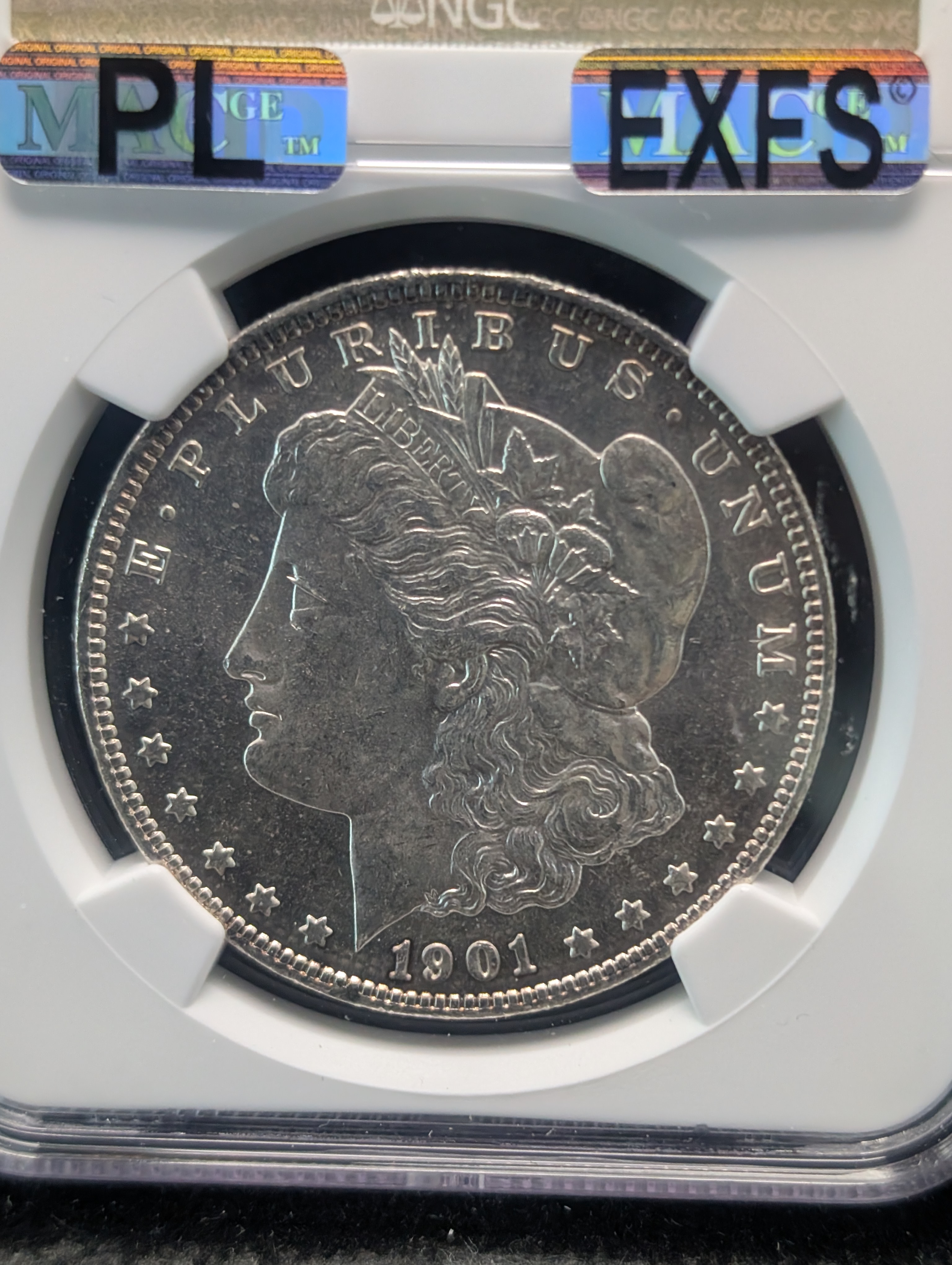 1901-O Morgan Dollar NGC MS 64 - PL EXFS
