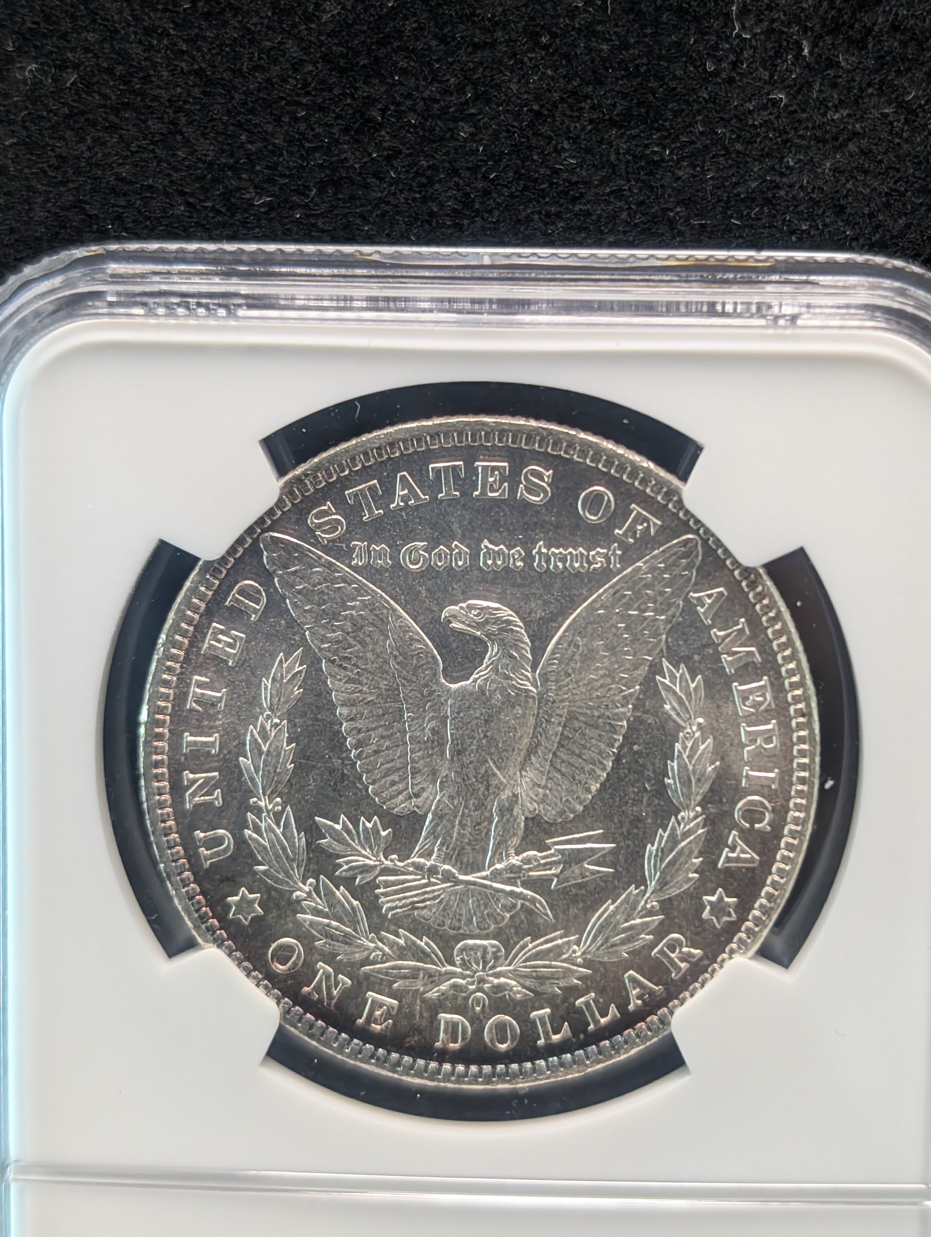 1901-O Morgan Dollar NGC MS 64 - PL EXFS
