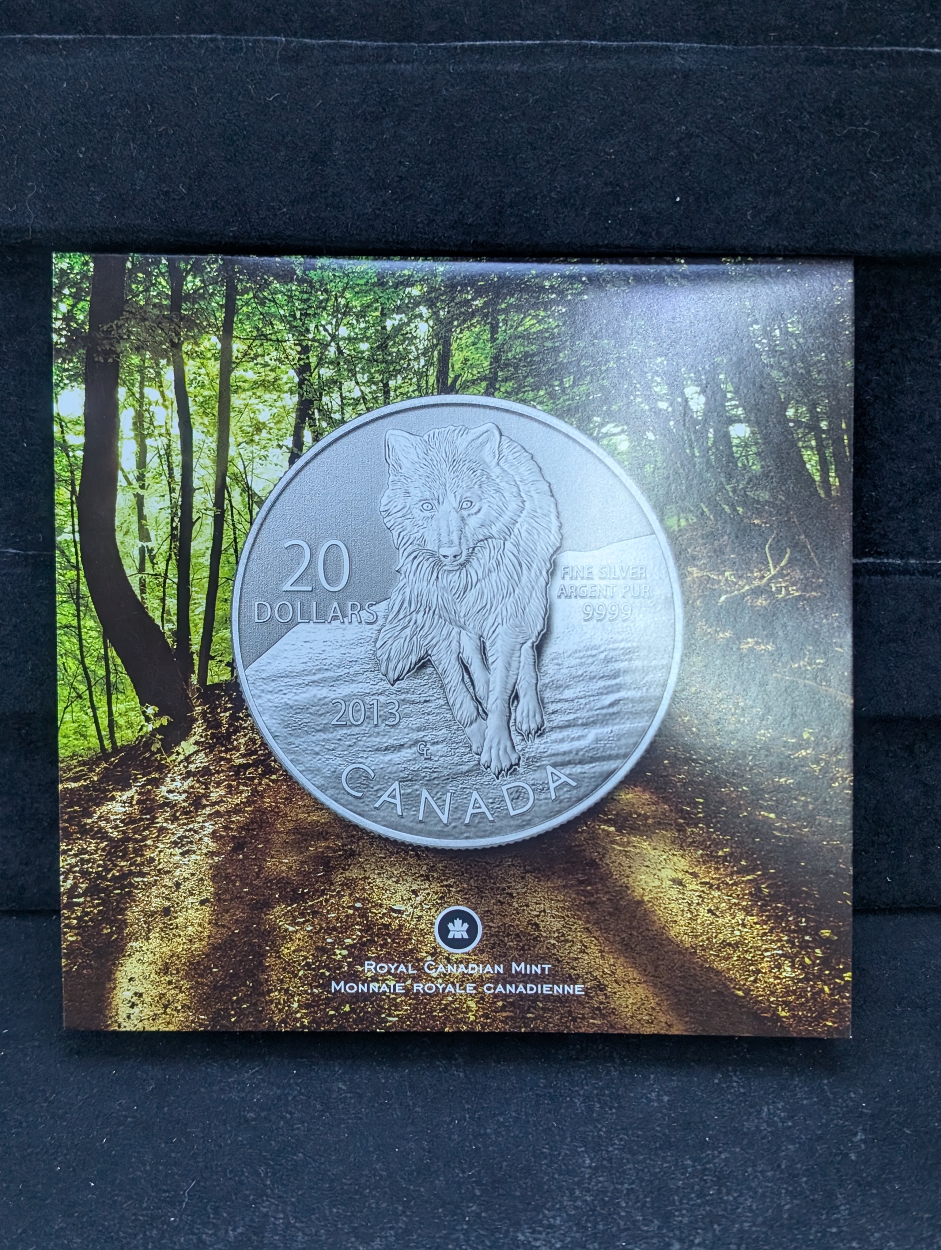 2013 Canada $20 Silver Coin, .9999 Fine Silver, 7.96g, 250,000 Minted Worldwide!