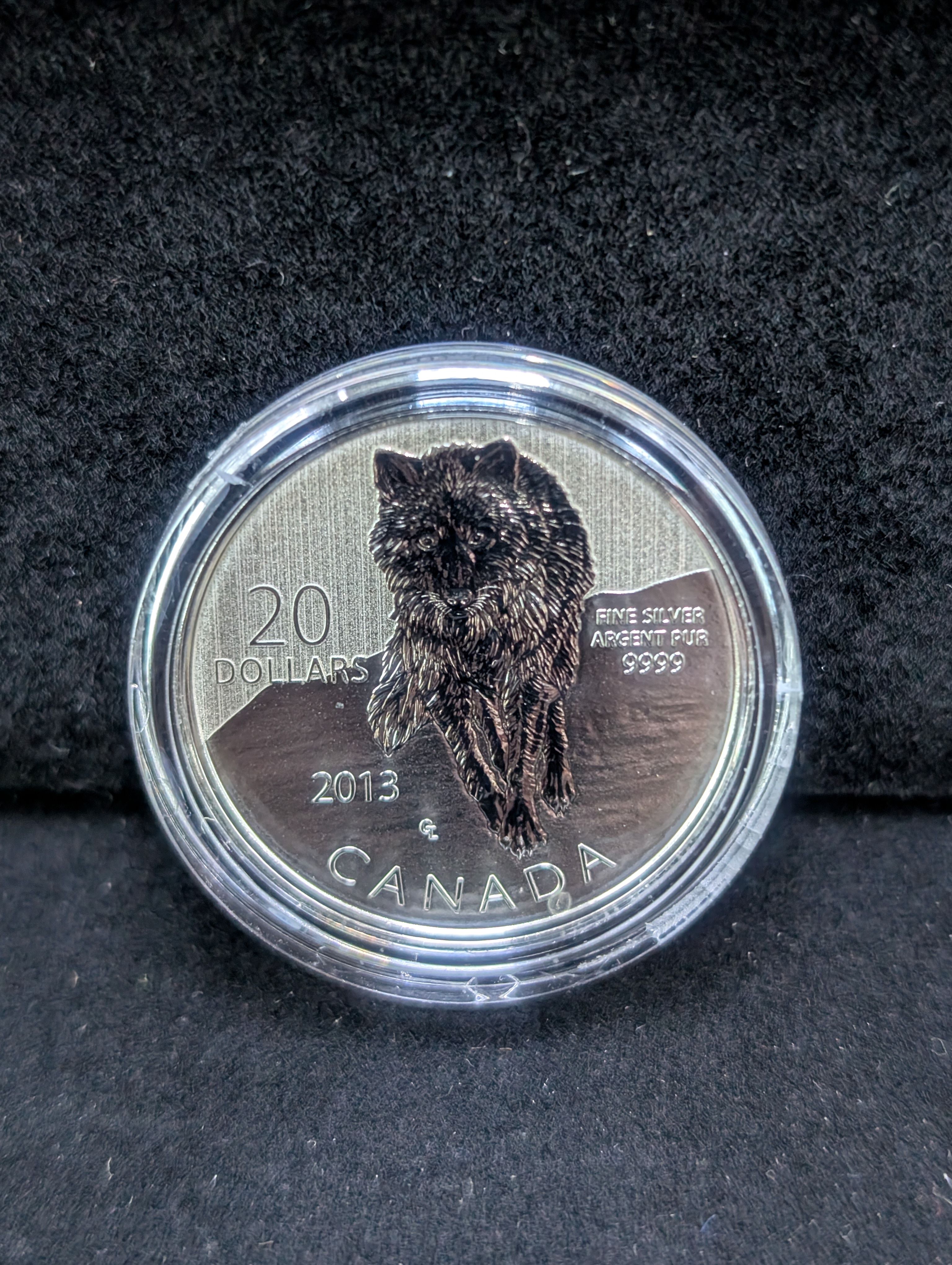 2013 Canada $20 Silver Coin, .9999 Fine Silver, 7.96g, 250,000 Minted Worldwide!