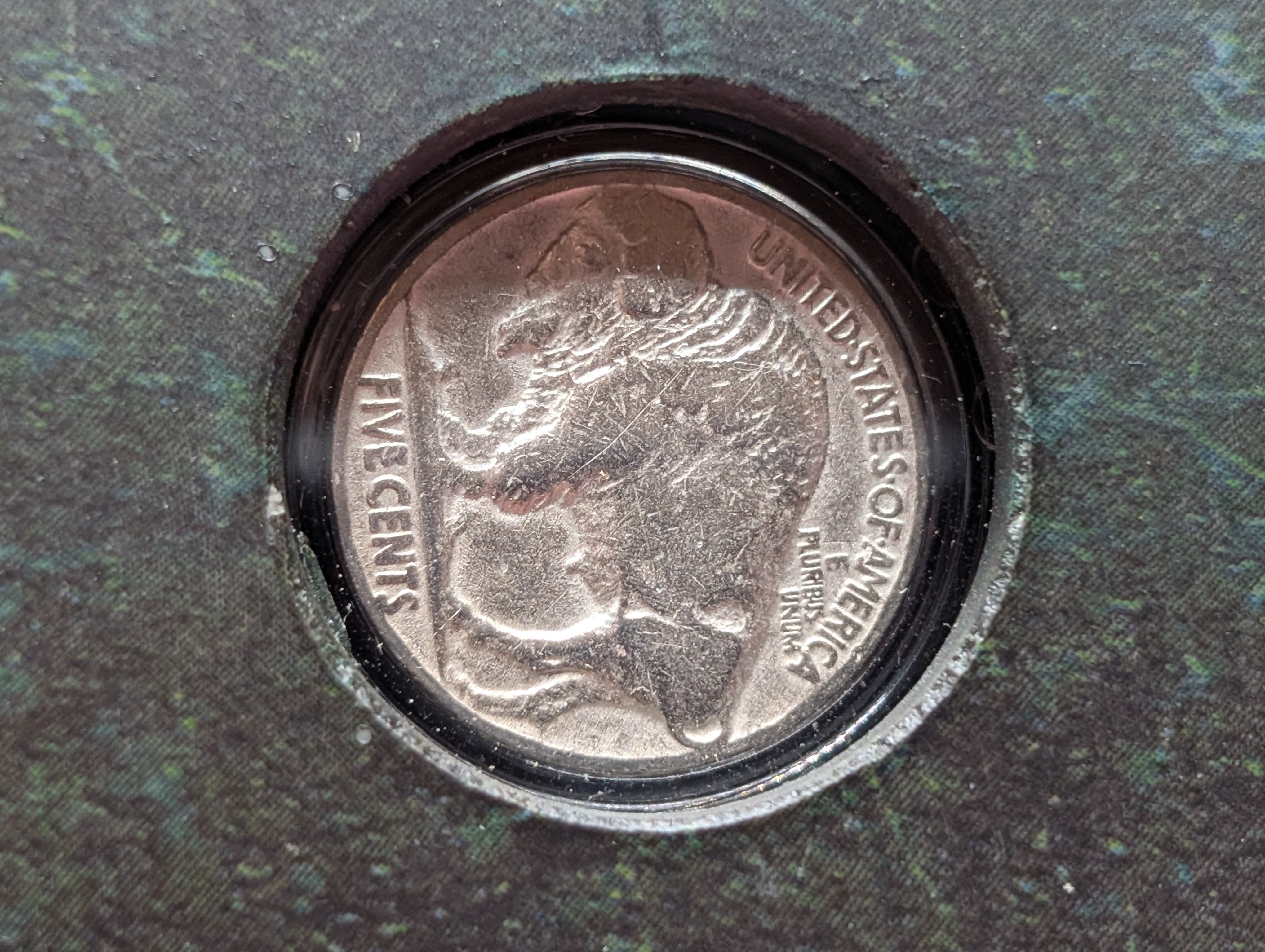 Three-Coin Buffalo Nickel Collection in Beautiful Display Case
