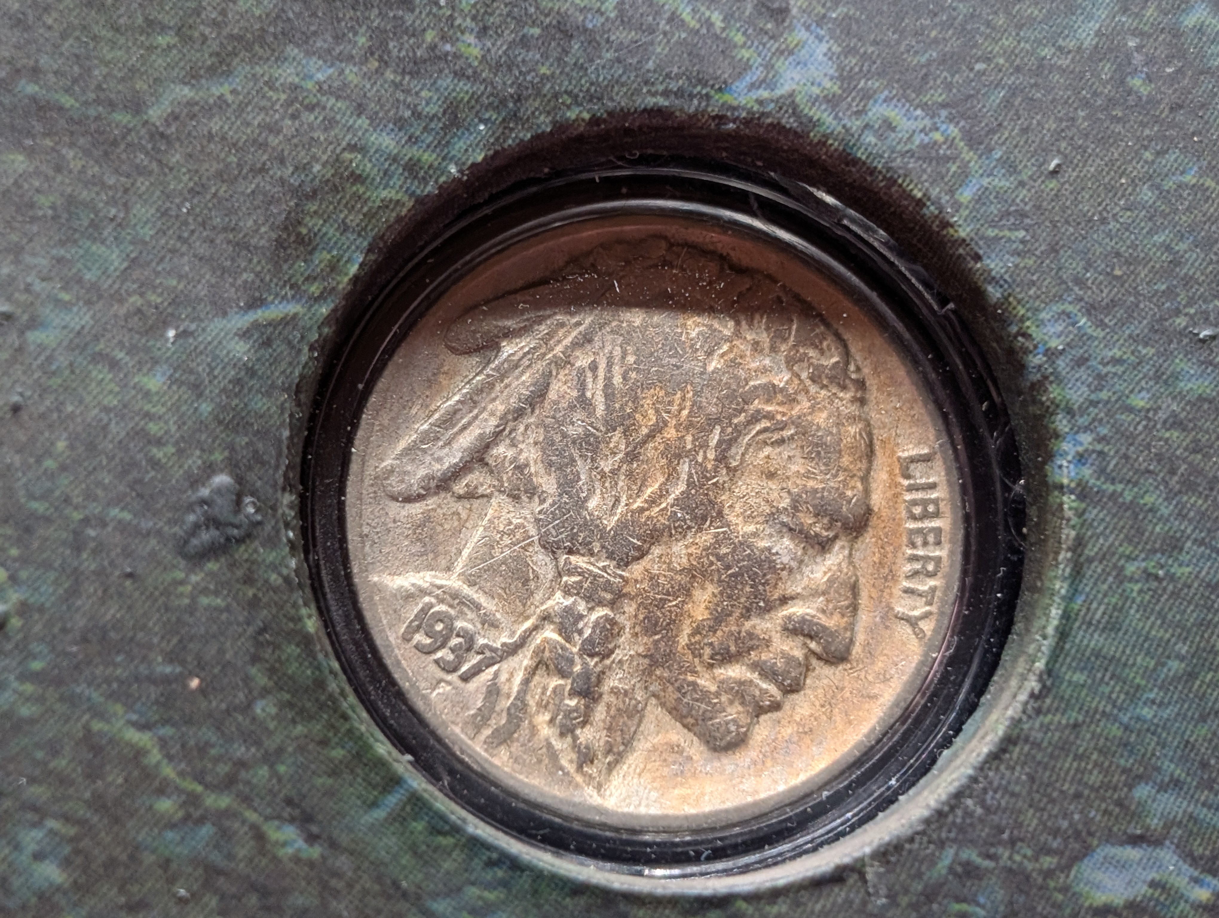 Three-Coin Buffalo Nickel Collection in Beautiful Display Case