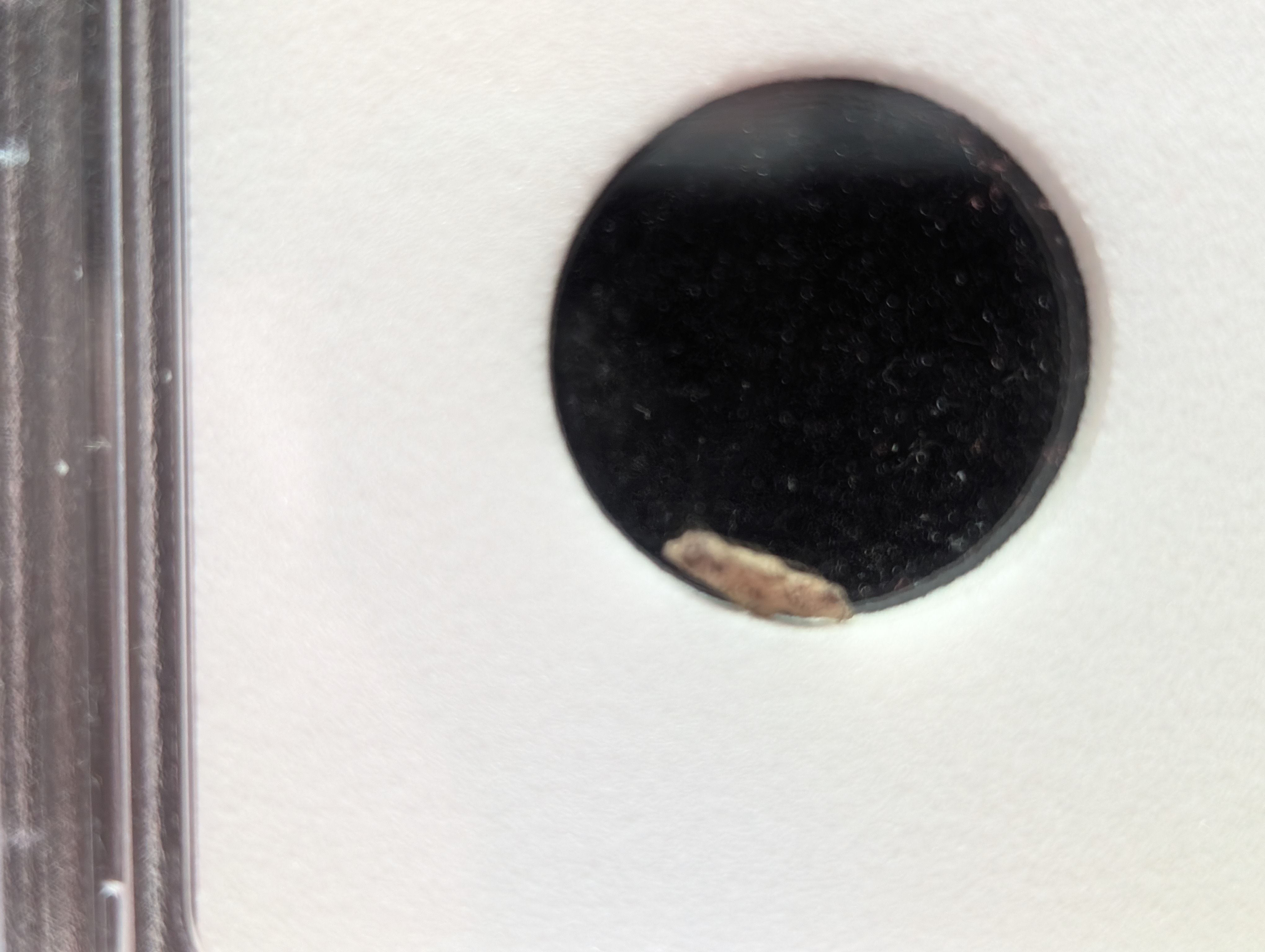 Authentic Meteorite Space Rock Found in The Sahara Desert - Slabbed By International Numismatic Bureau