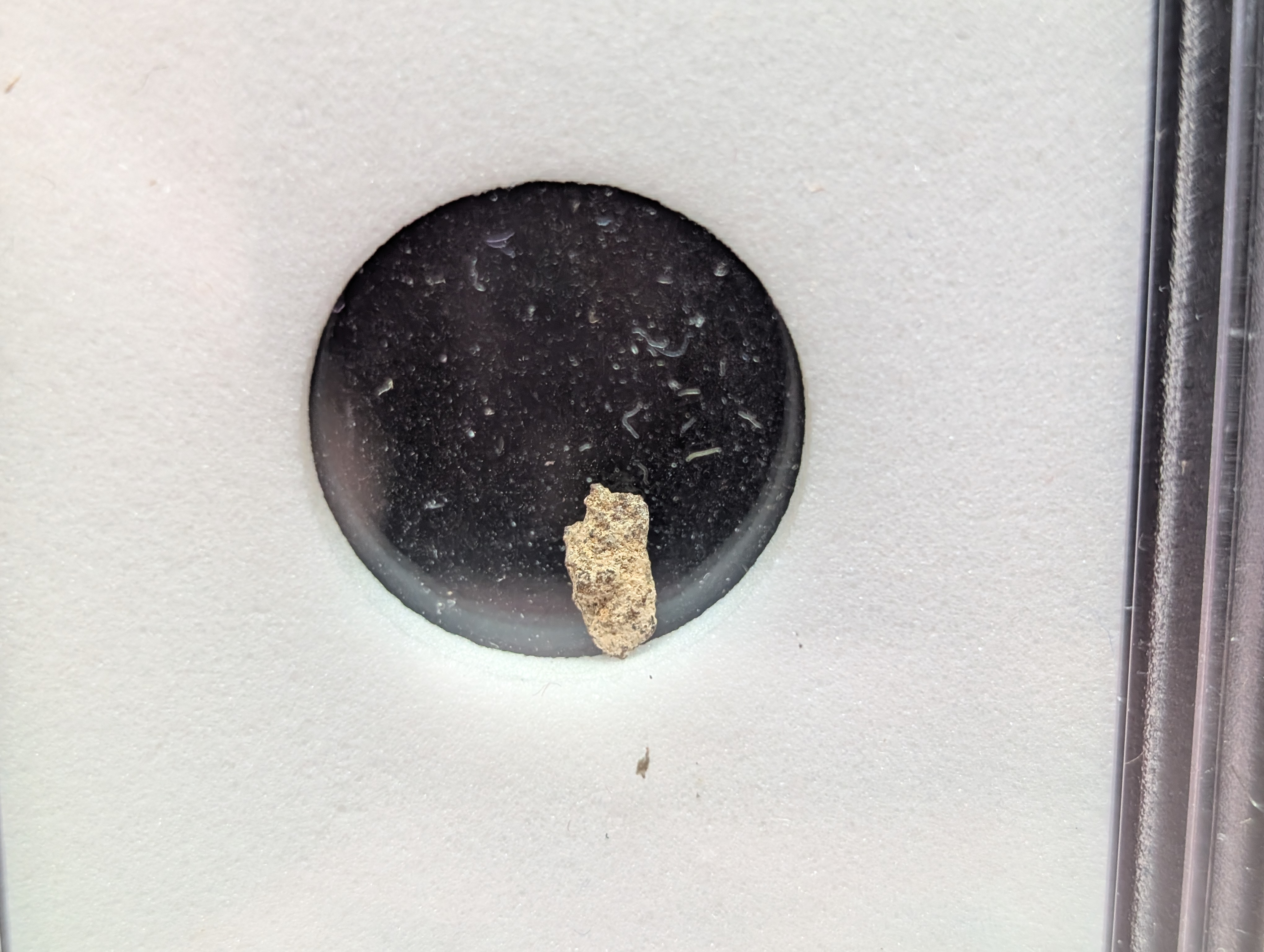 Authentic Meteorite Space Rock Found in The Sahara Desert - Slabbed By International Numismatic Bureau