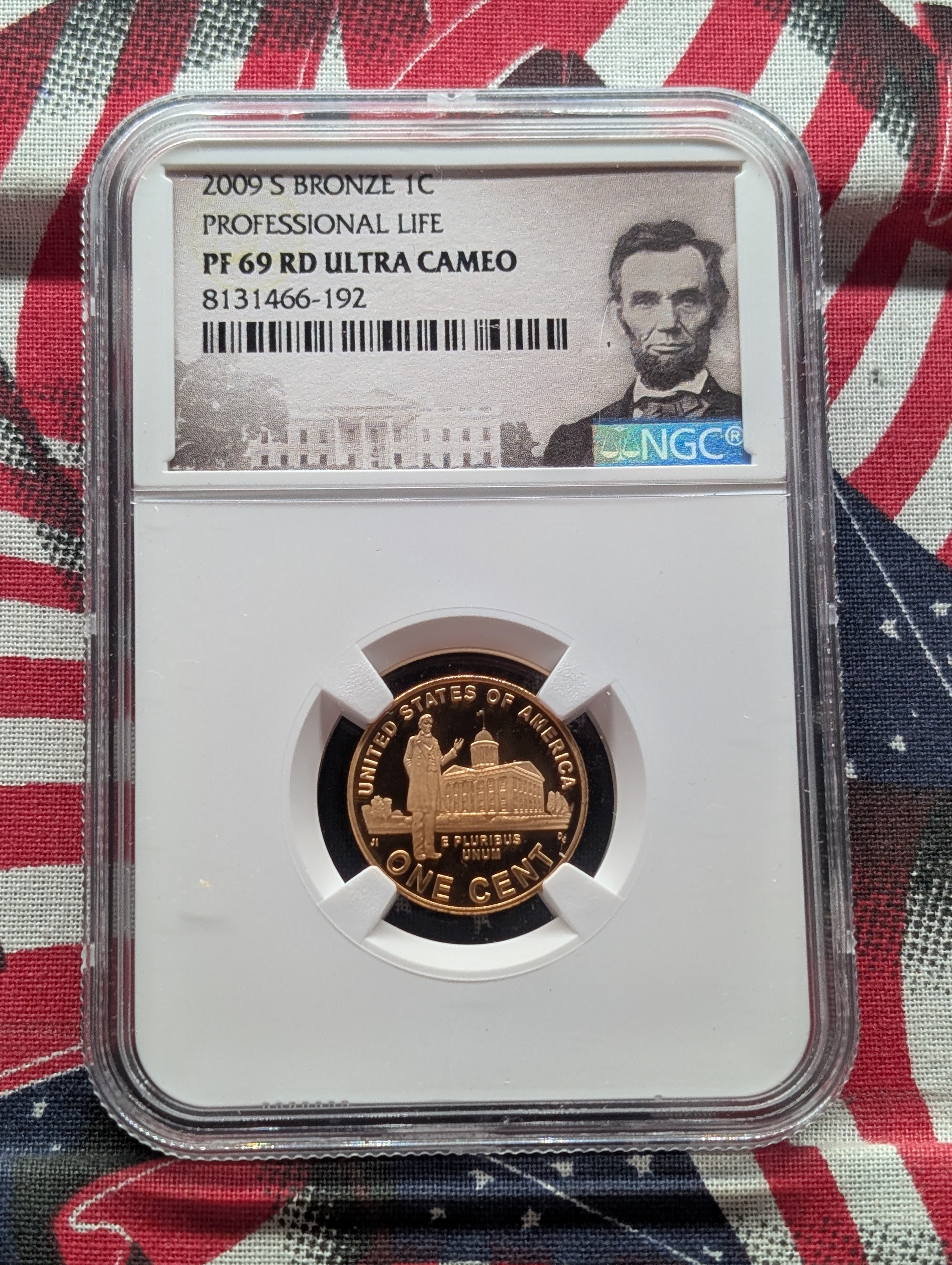 2009-S PROOF Bronze Lincoln Professional Life Cent - NGC PF69 RD Ultra Cameo