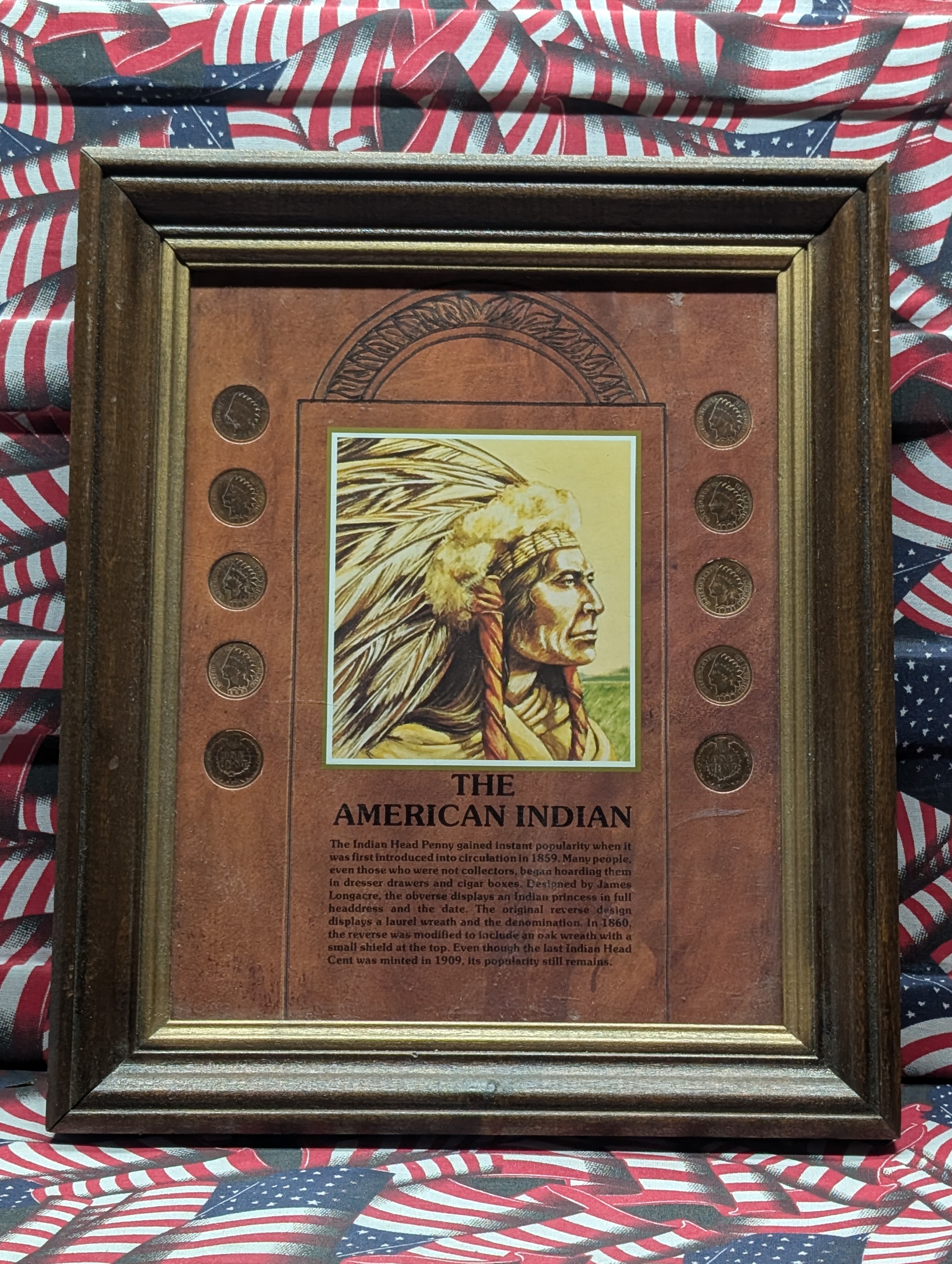 The American Indian 10 Indian Head Cent Coin Set in Frame - Includes All Indian Head Cents From 1892-1904