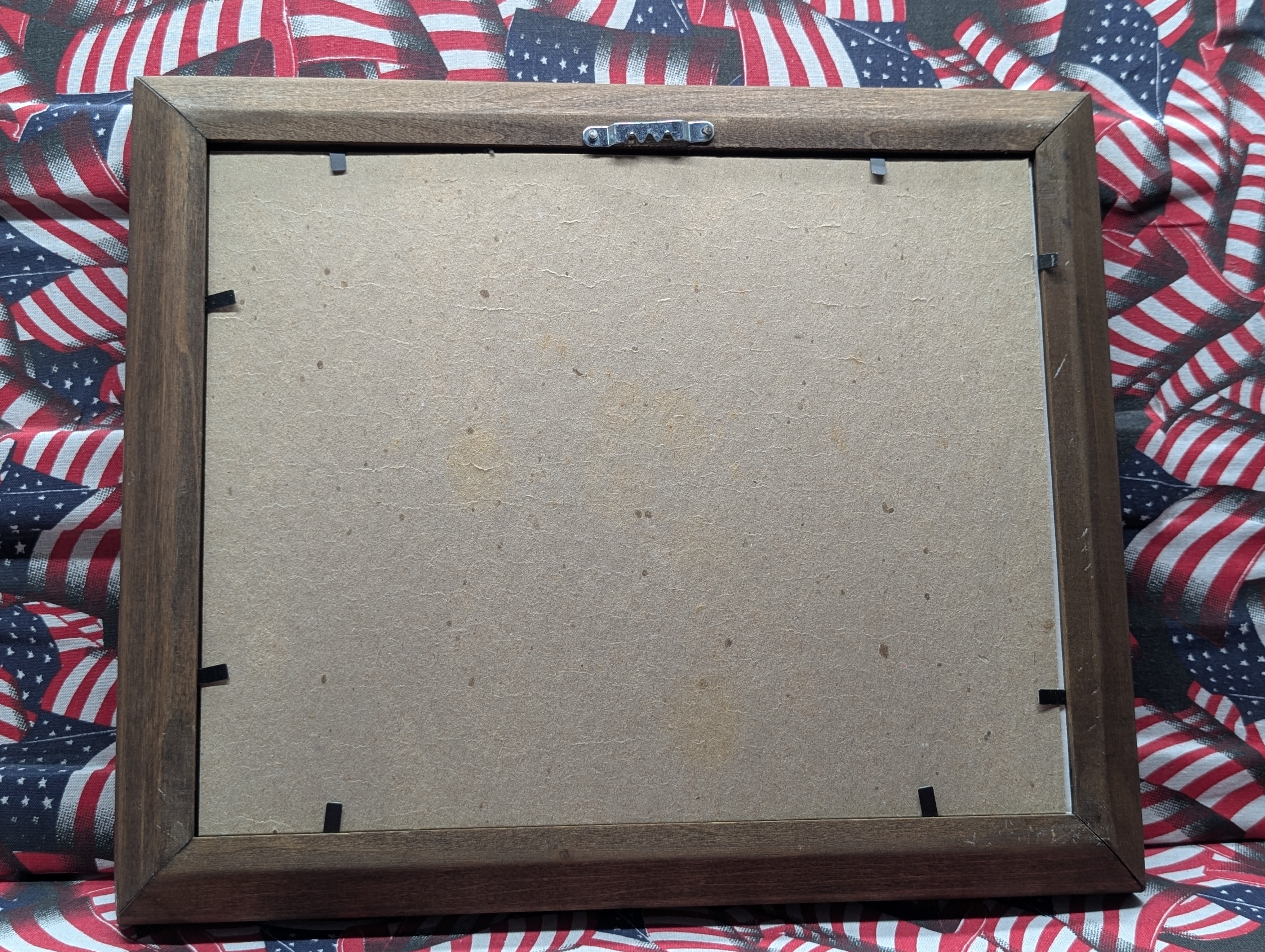 American Frontier Nickel Set - 10 Coin Indian Head Buffalo Nickel Collection, Framed