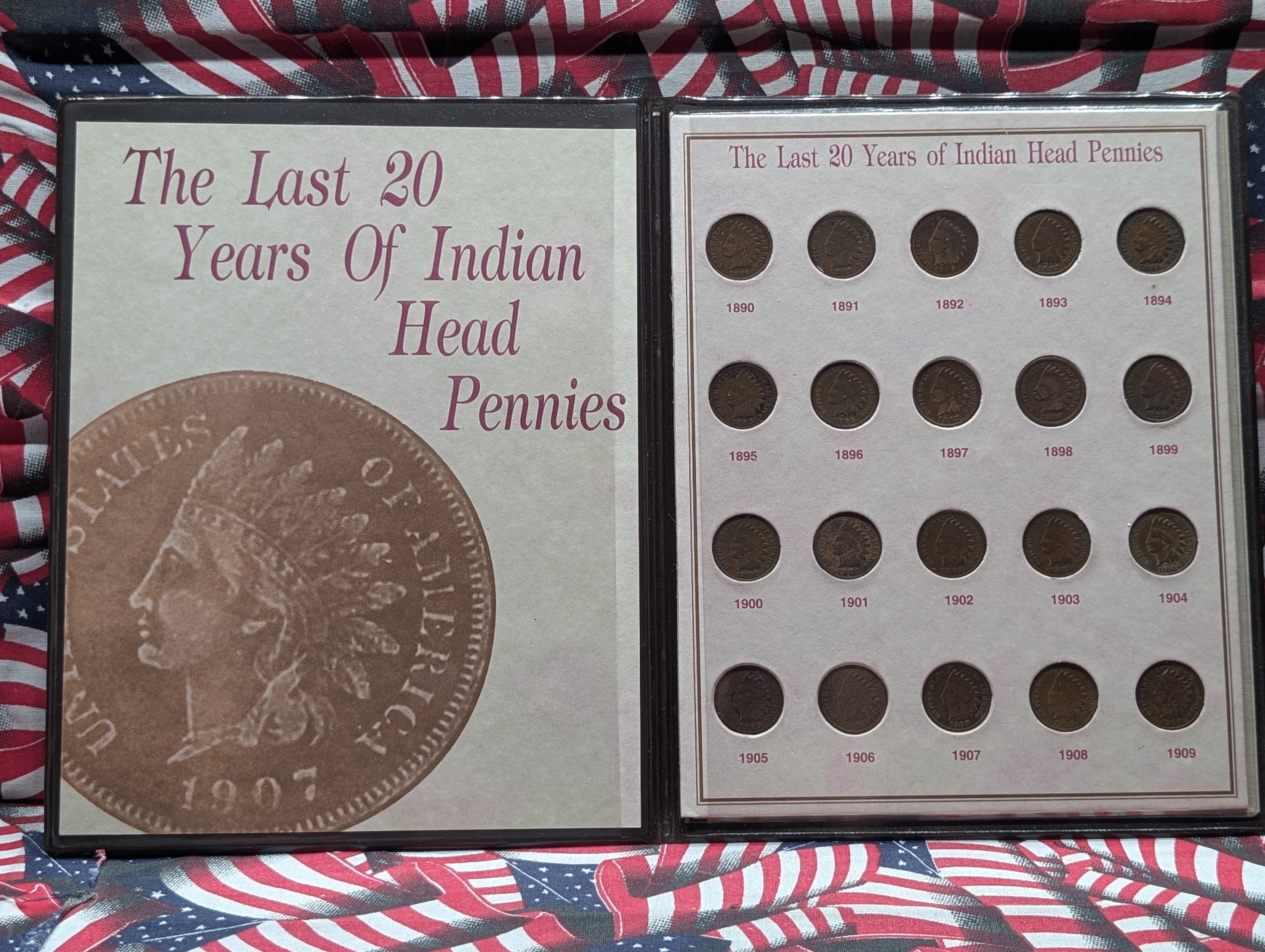 The Last 20 Years of Indian Head Pennies - Includes 1909 - 20 Coins, 1890 to 1909