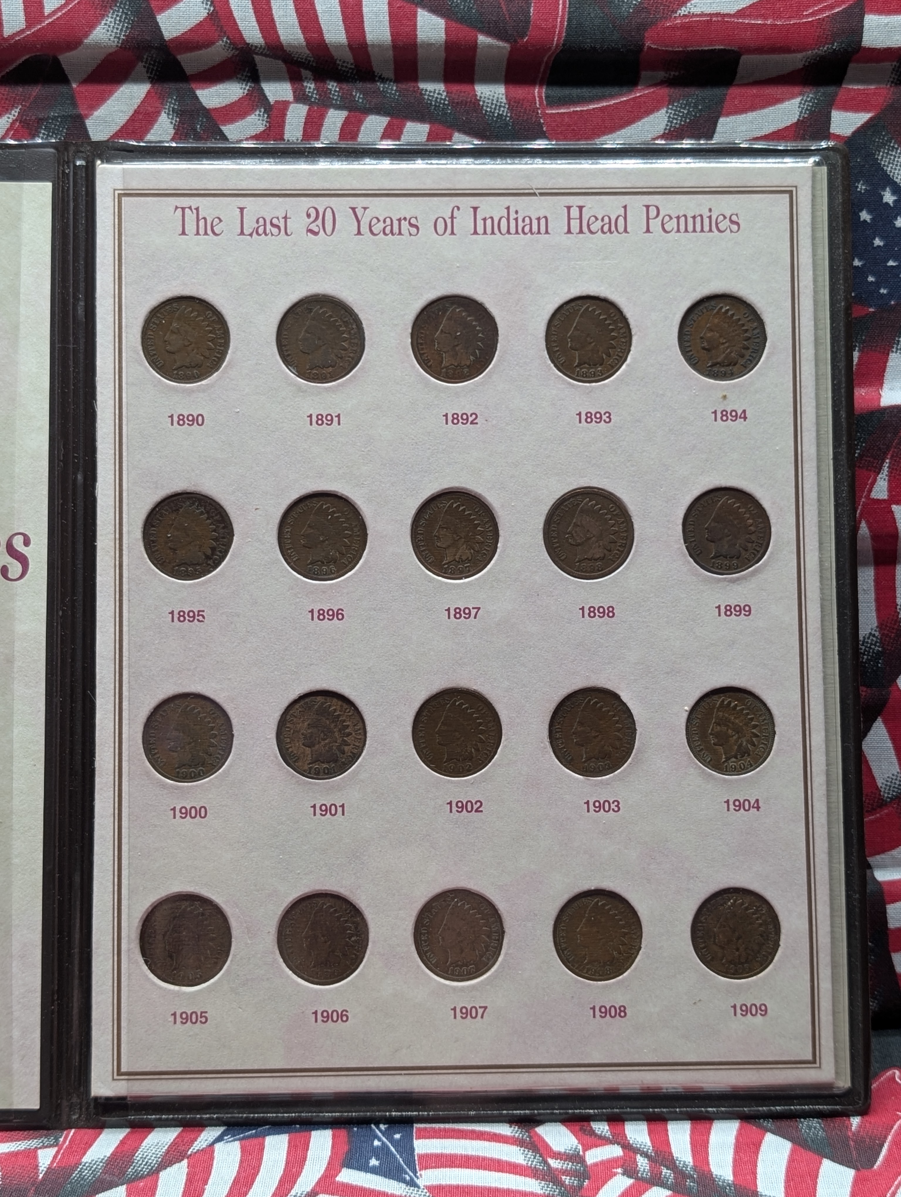 The Last 20 Years of Indian Head Pennies - Includes 1909 - 20 Coins, 1890 to 1909
