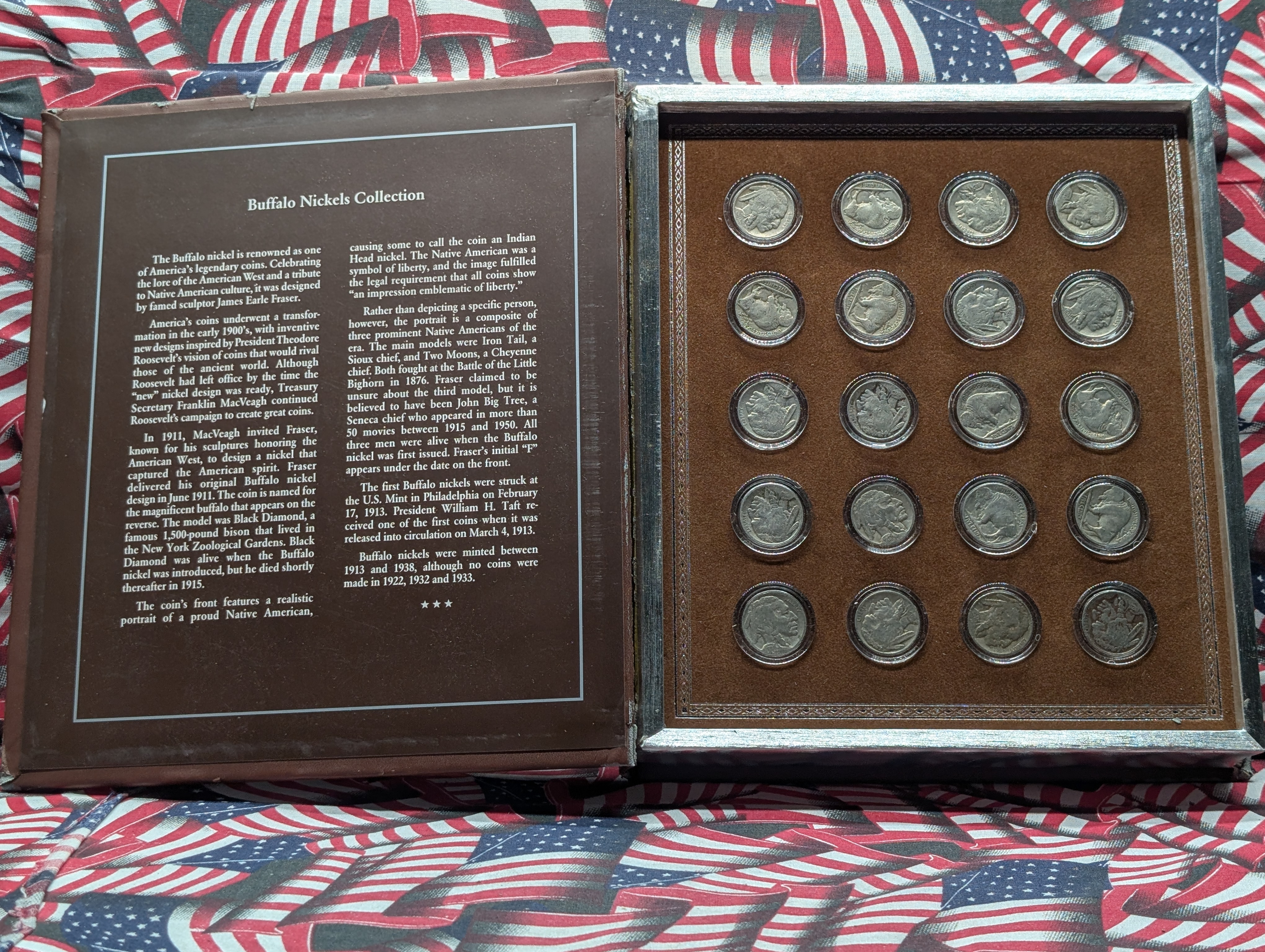 Various Dated Indian Head Buffalo Nickel Collection in Display Box, 20 Coins