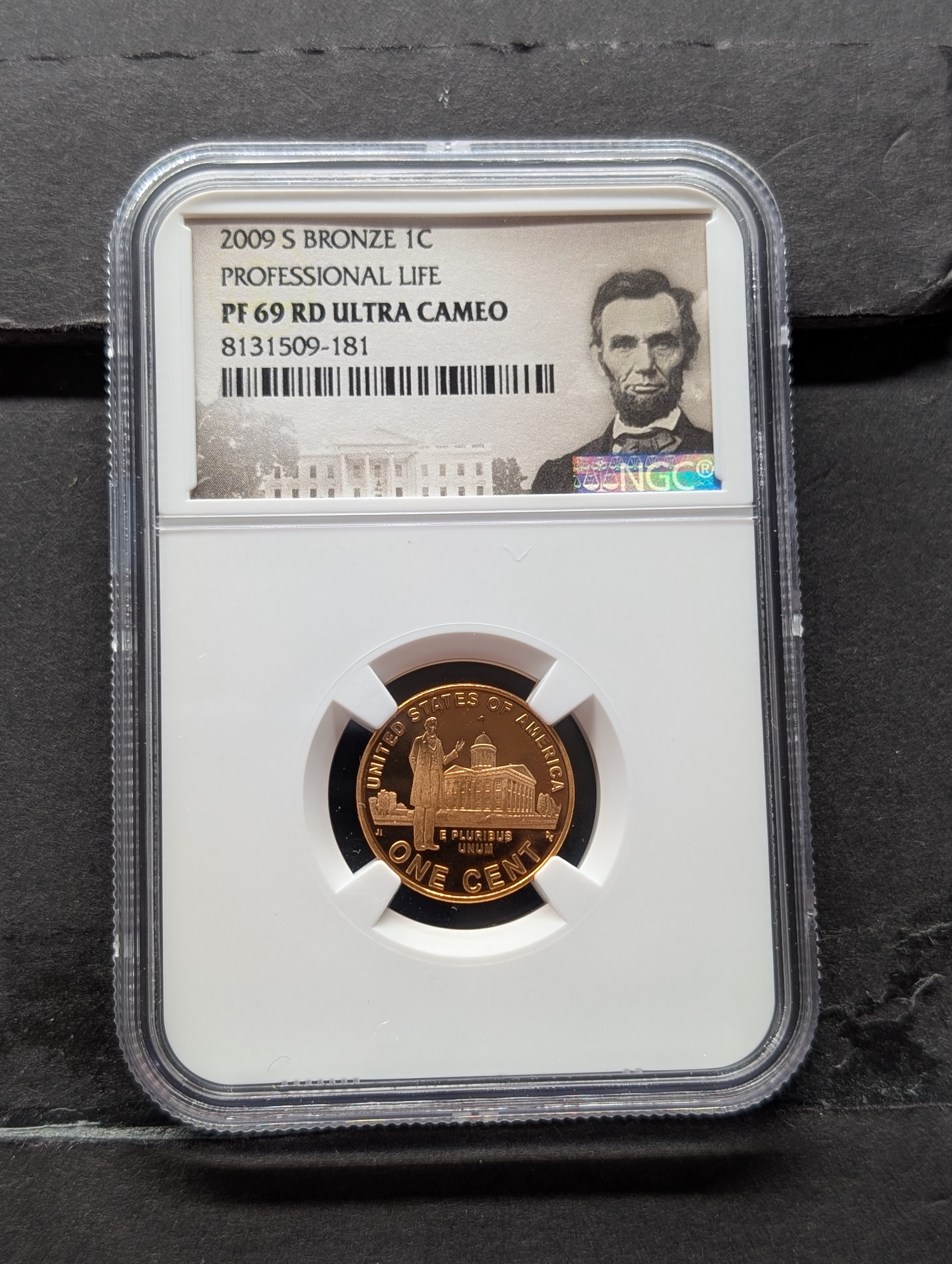 2009-S PROOF Bronze Professional Life Cent - NGC PF69 RD ULTRA CAMEO