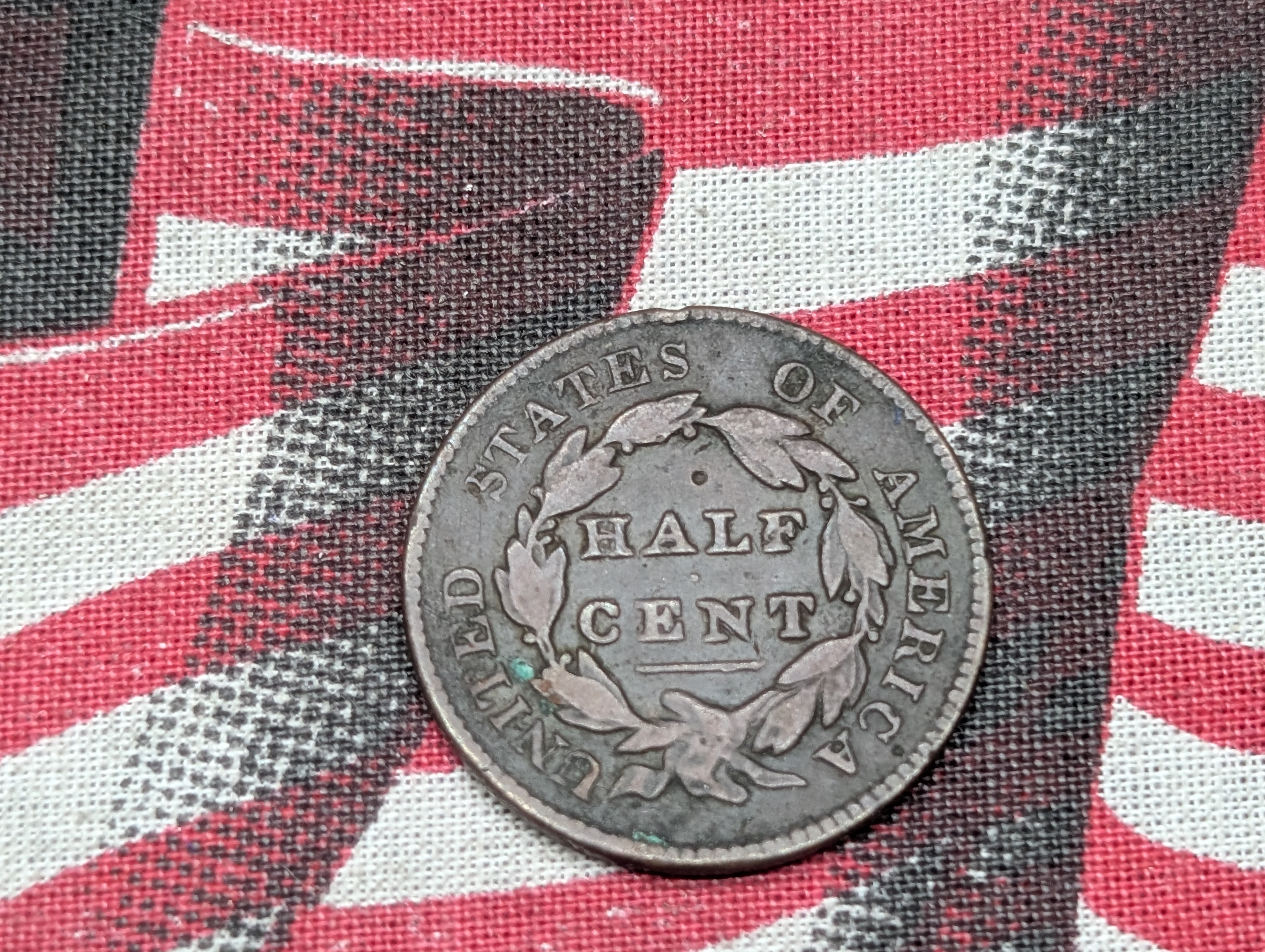 1829 Classic Head Half Cent - Fine Detail.