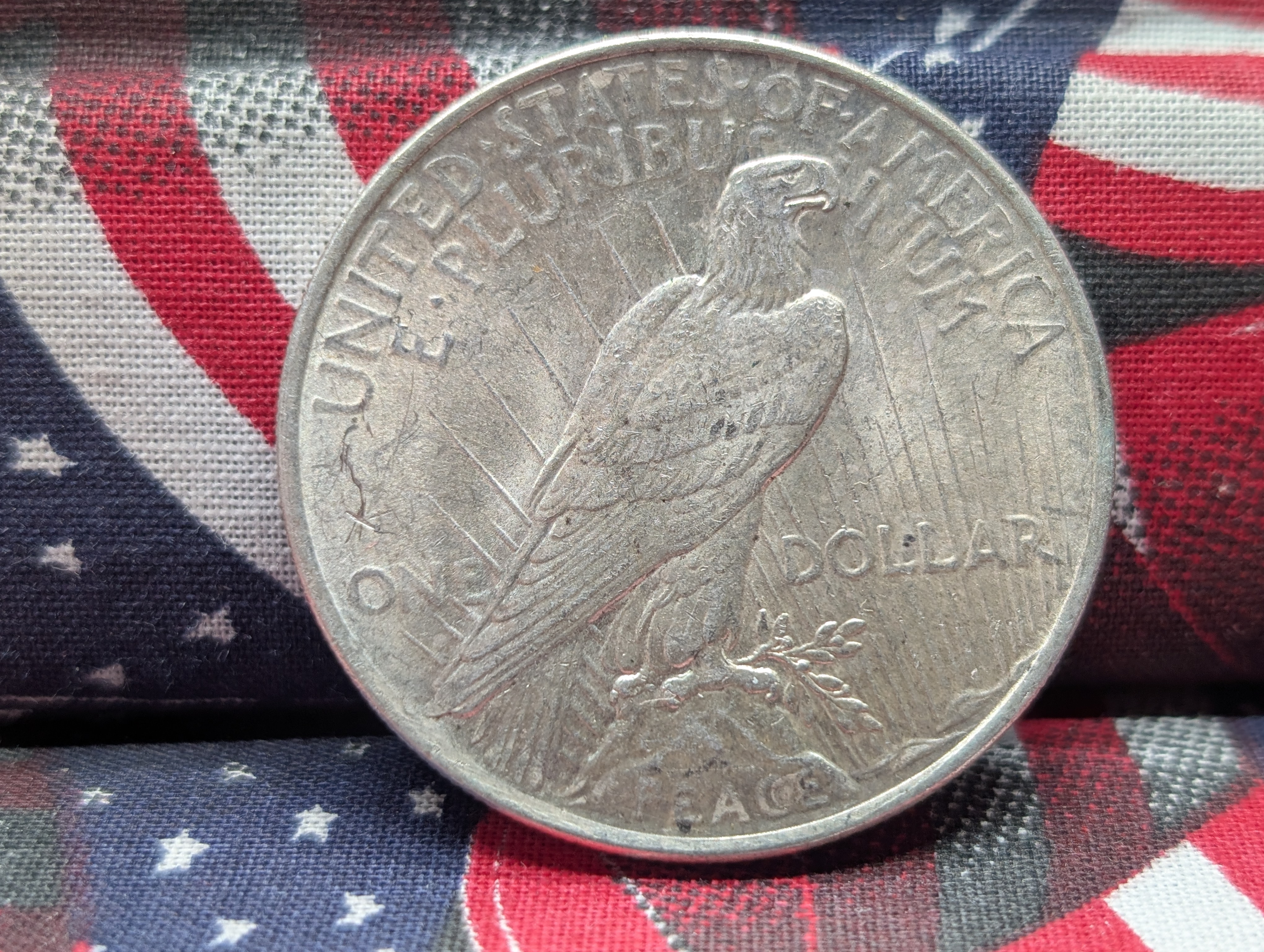 ERROR 1924 Peace Dollar, VAM 1R, Rating R 5.