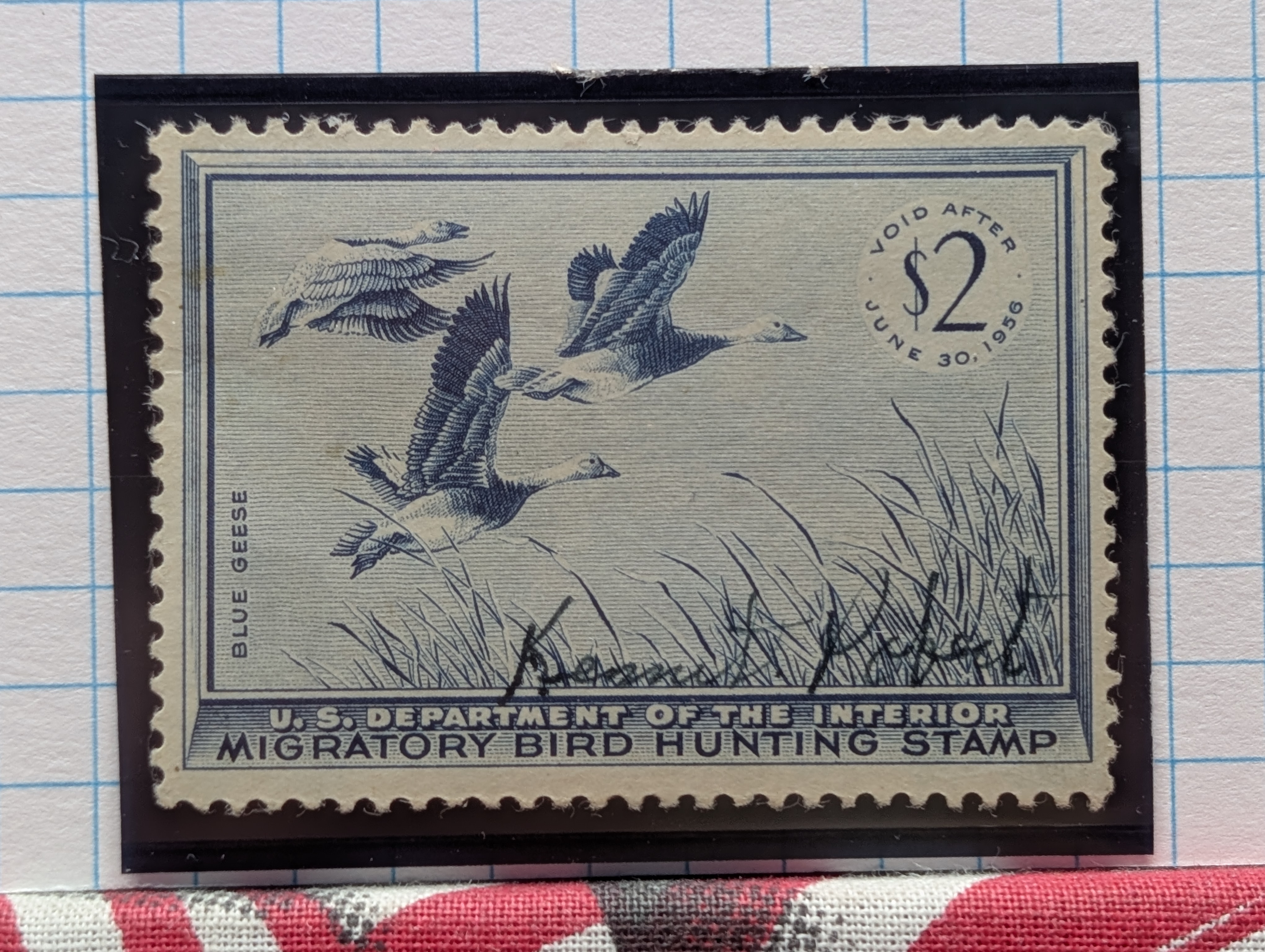 1955 Dept. Of Interior Federal Duck Stamp, RW-22, Signed