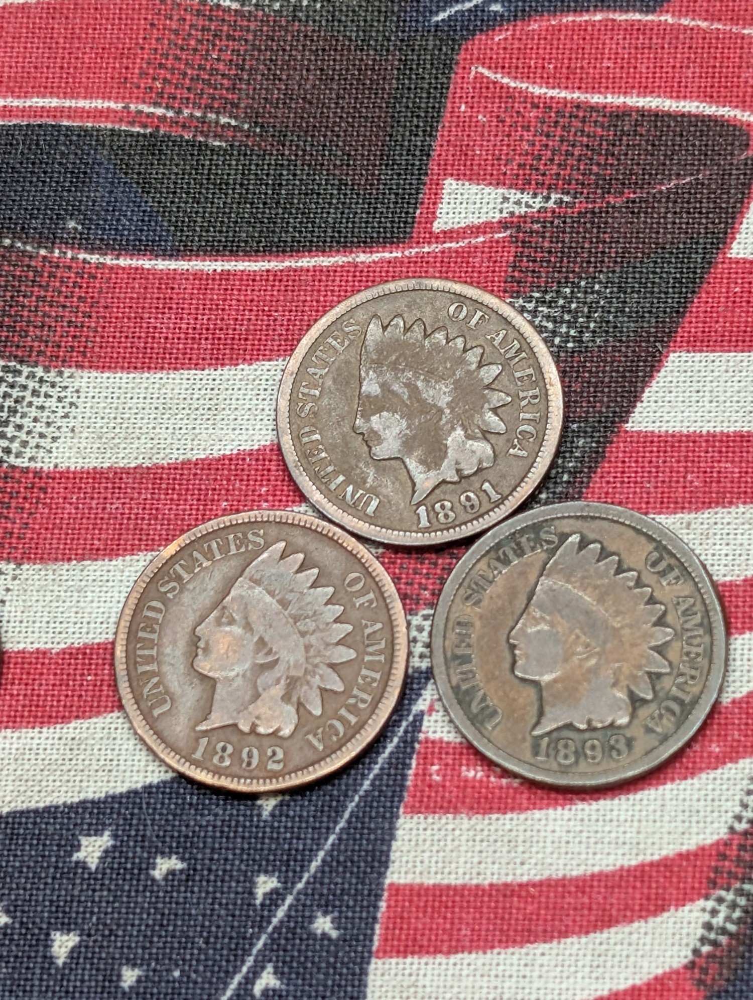 1891, 1892, 1893, 1897, 1898 & 1899 Indian Head Pennies - All Pre-1900 Dates!