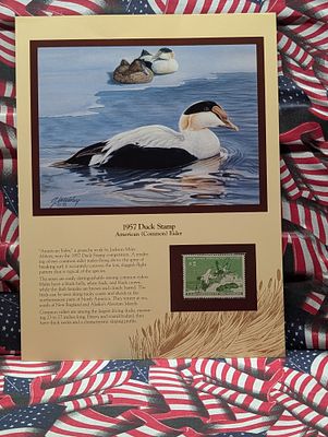 1957 Dept. Of The Interior Duck Stamp, RW- 24, Signed Condition PLEASE NOTE Some coins may have 
