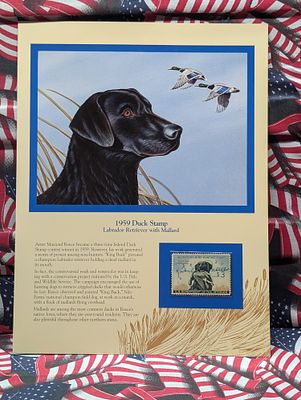 1959 Dept. Of The Interior Duck Stamp, RW- 26, Signed Condition PLEASE NOTE Some coins may have 