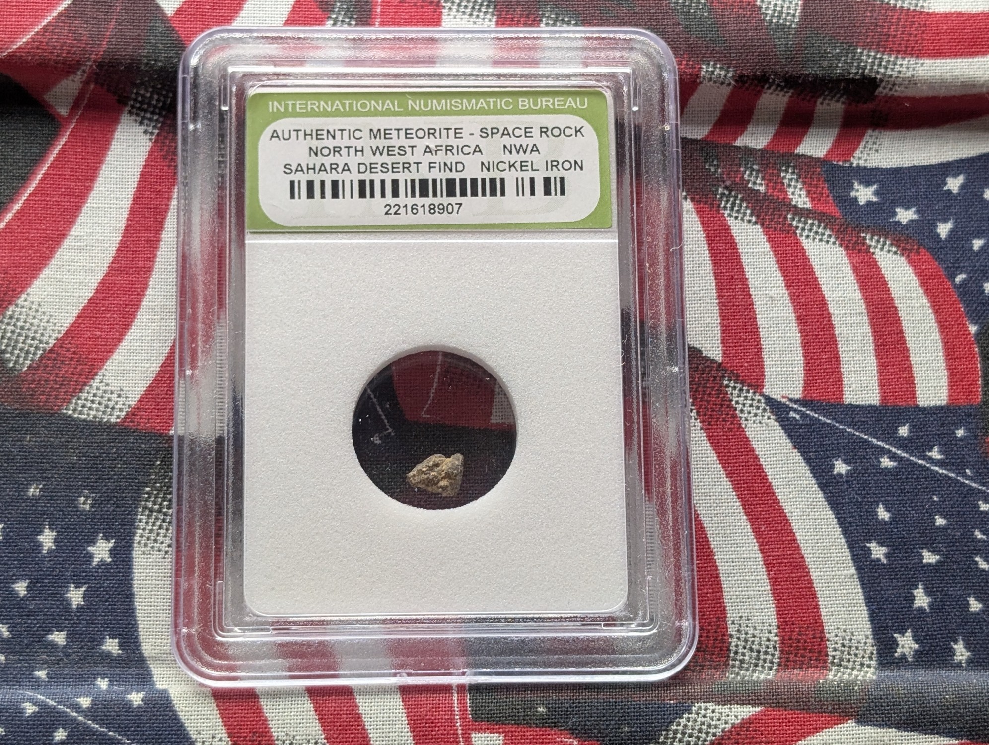 Authentic Meteorite Space Rock - North West Africa - Sahara Desert Find - Nickel Iron - Slabbed International Numismatic Bureau