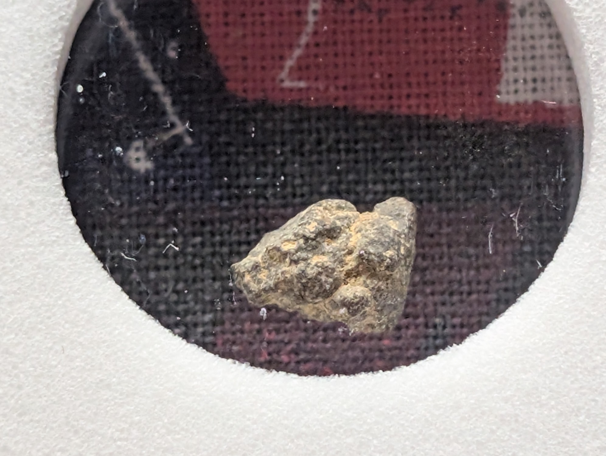 Authentic Meteorite Space Rock - North West Africa - Sahara Desert Find - Nickel Iron - Slabbed International Numismatic Bureau