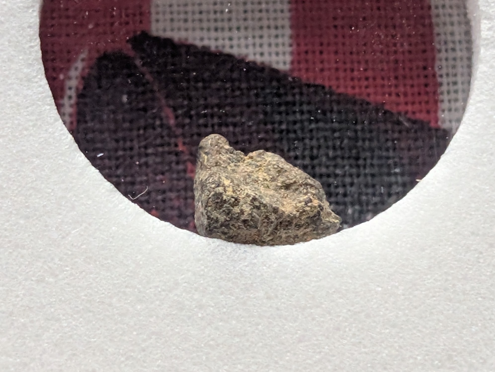Authentic Meteorite Space Rock - North West Africa - Sahara Desert Find - Nickel Iron - Slabbed International Numismatic Bureau