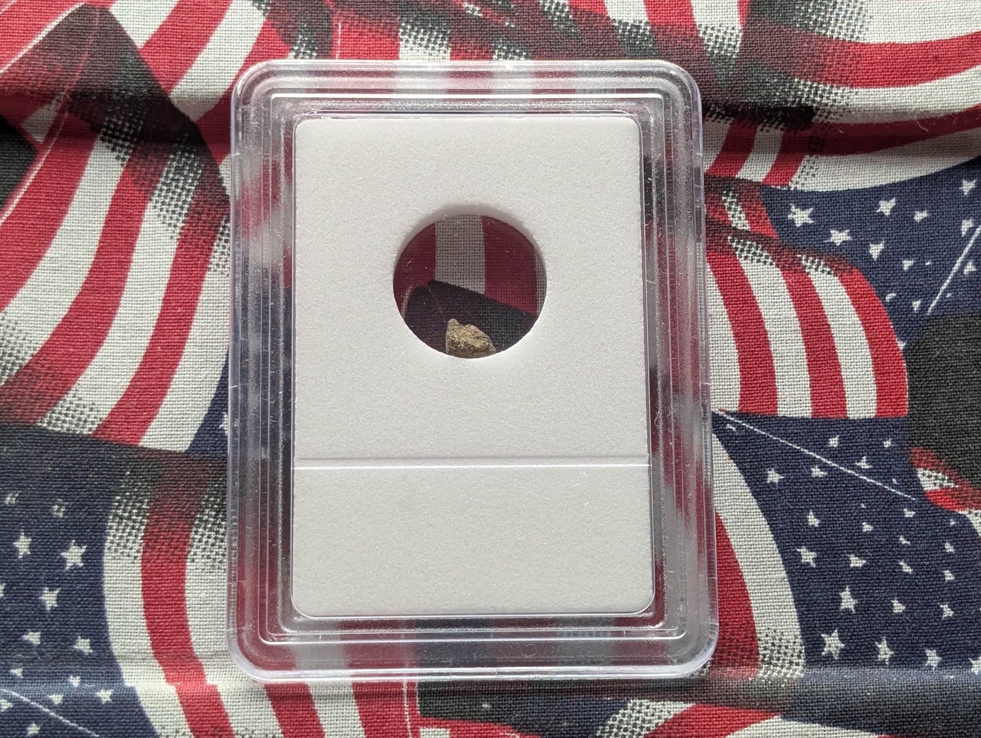 Authentic Meteorite Space Rock - North West Africa - Sahara Desert Find - Nickel Iron - Slabbed International Numismatic Bureau