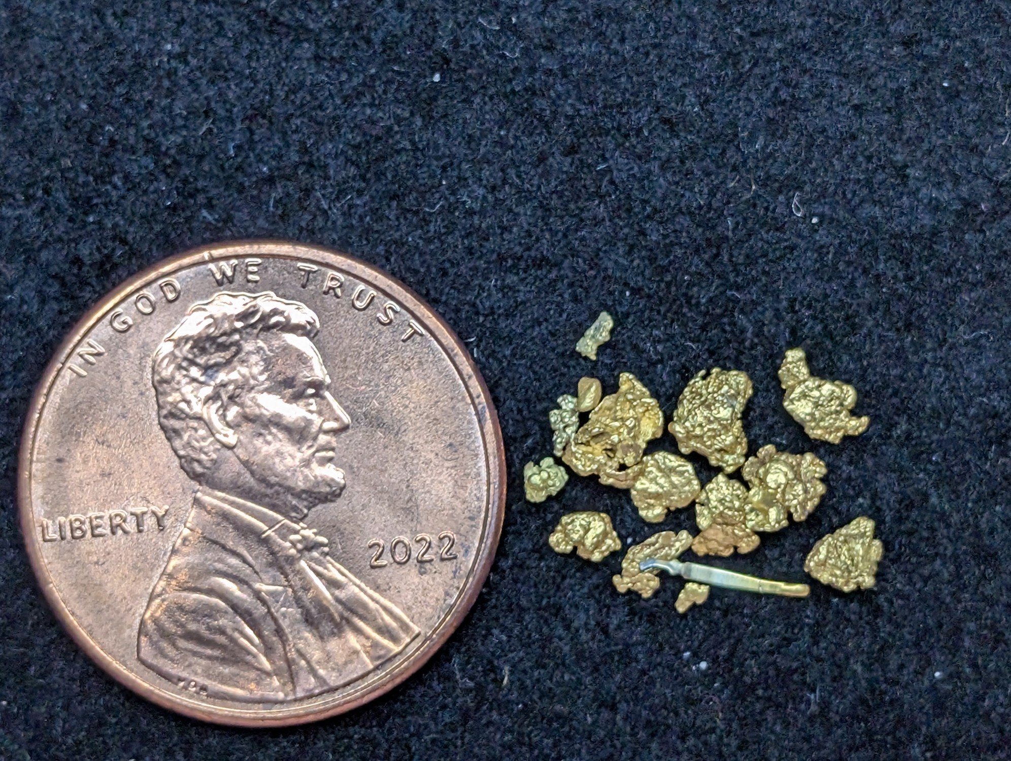 0.52 Grams of SOLID GOLD Nuggets! - Penny Not Included, Shown For Size Comparison