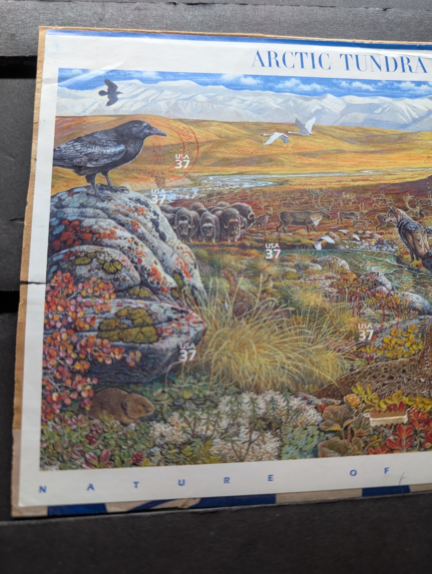 2003 Arctic Tundra Full Cancelled Stamp Sheet, Scott # 3802