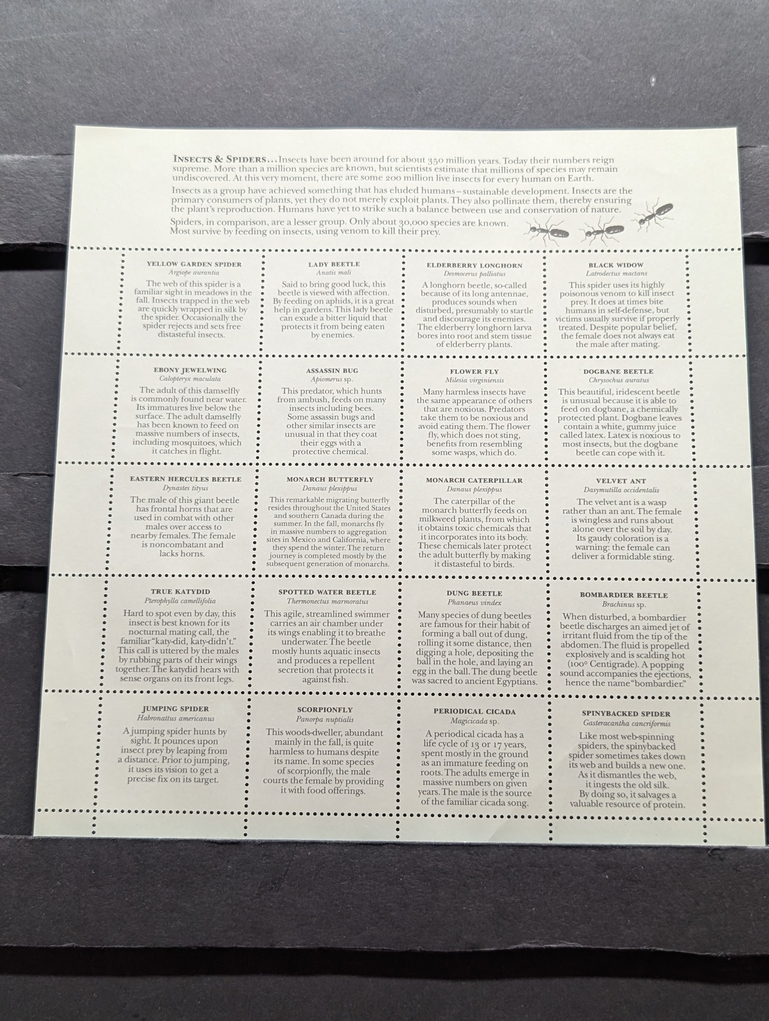 1999 Insects & Spiders Stamp Sheet, Scott # 3351, Mint, Original Gum, Never Hinged