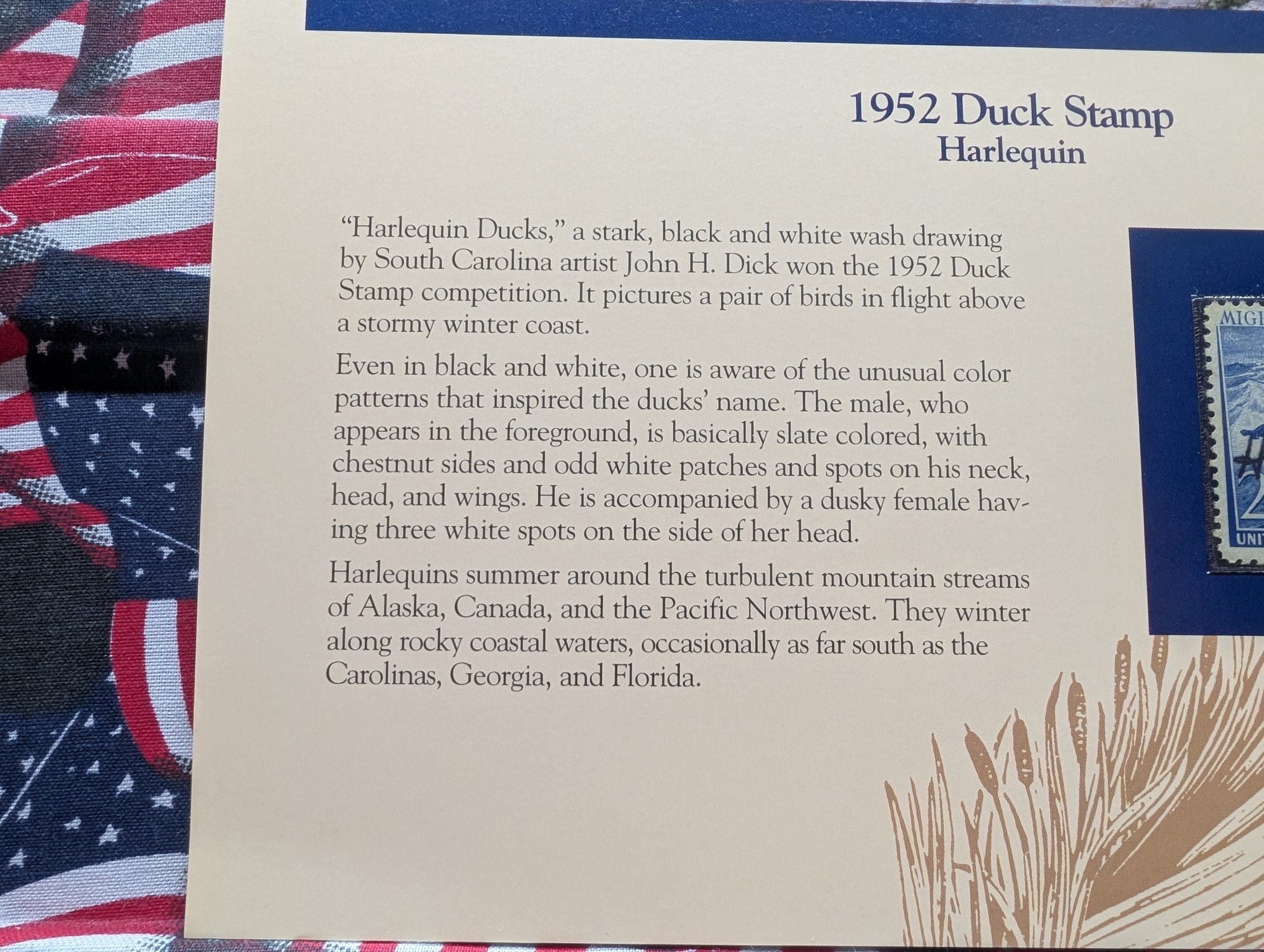 1952 Dept. Of The Interior Duck Stamp, RW-19, Signed