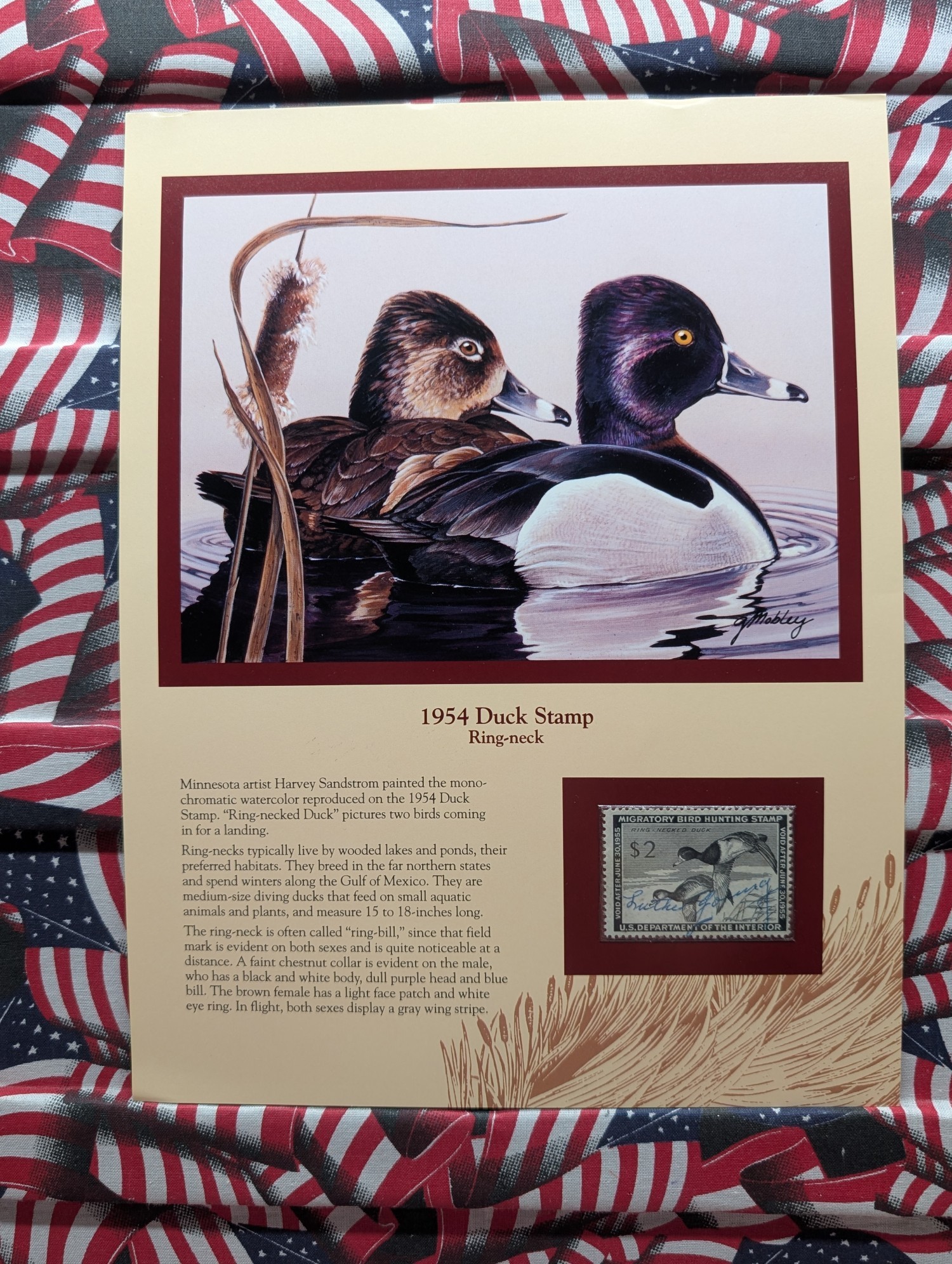 1954 Dept. Of The Interior Duck Stamp, RW-21, Signed