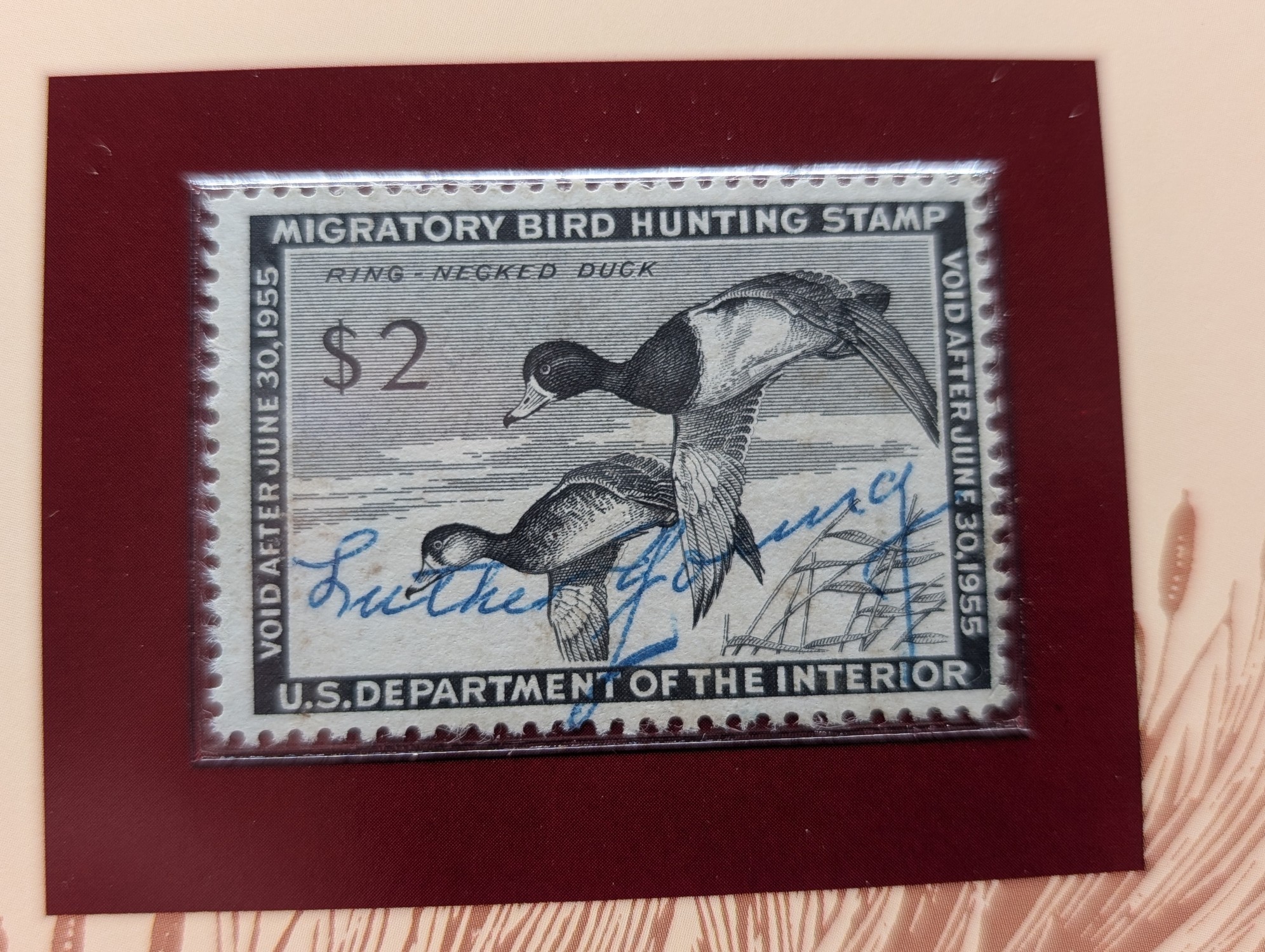 1954 Dept. Of The Interior Duck Stamp, RW-21, Signed