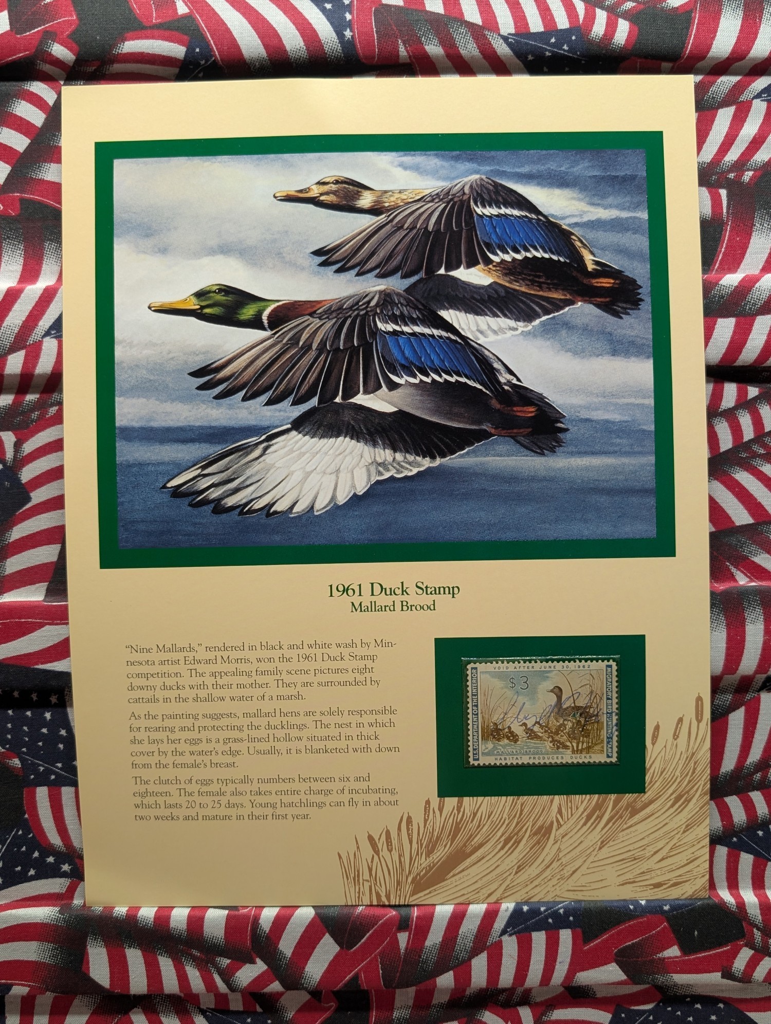 1961 Dept. Of The Interior Duck Stamp, RW-28, Signed