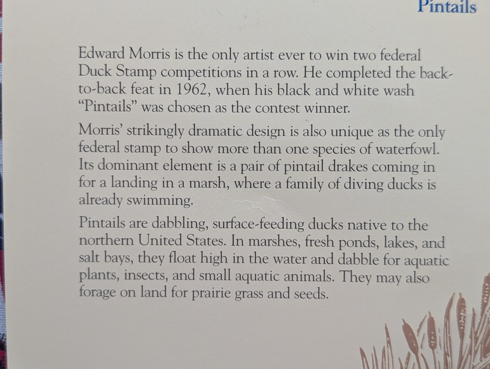 1962 Dept. Of The Interior Duck Stamp, RW-29, Signed