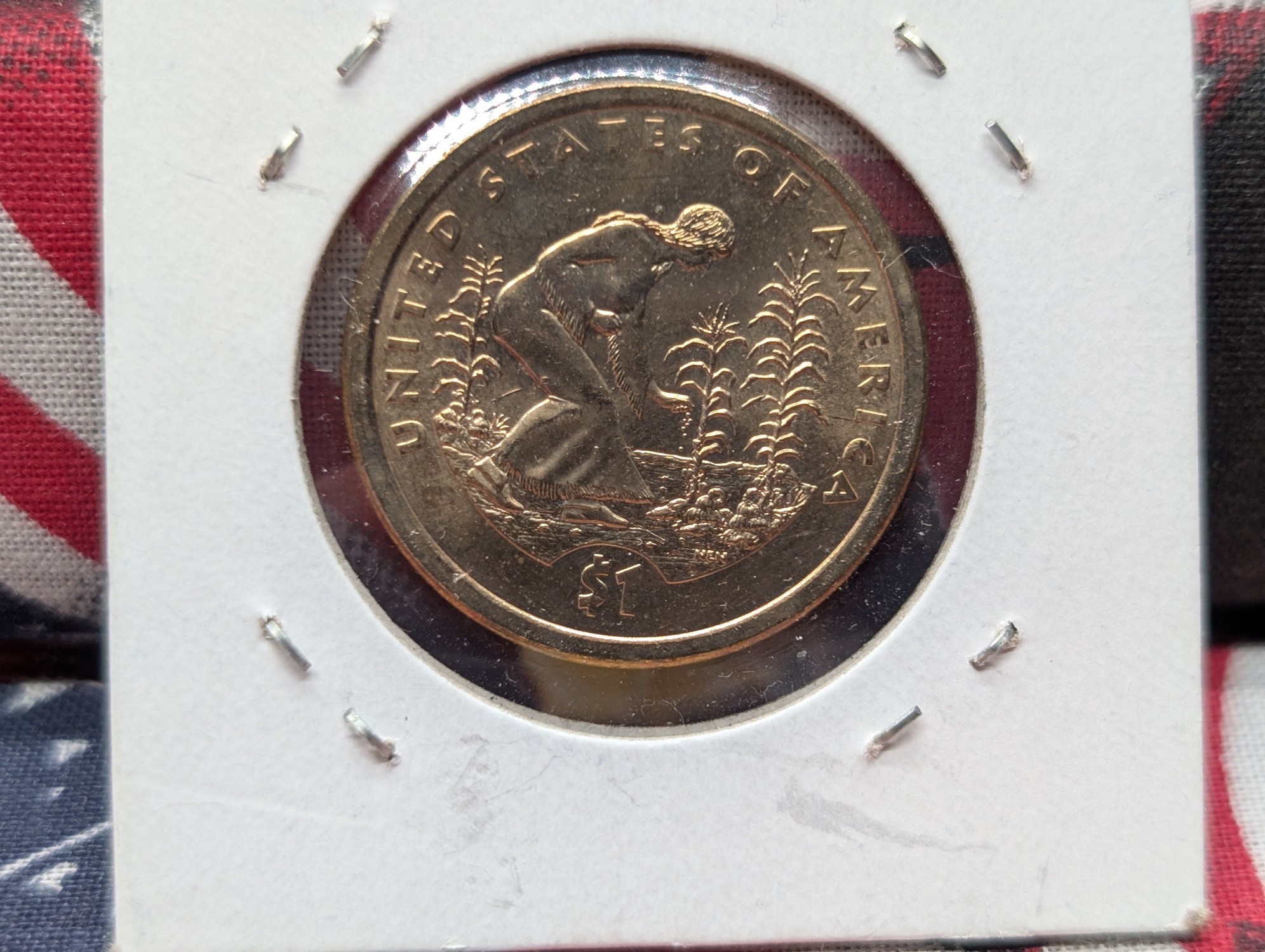 2009-D Native American Dollar