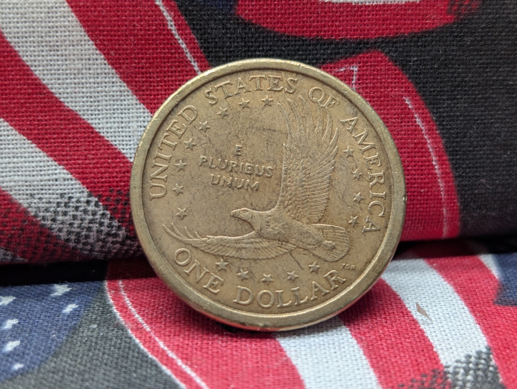 2001-D Native American Dollar