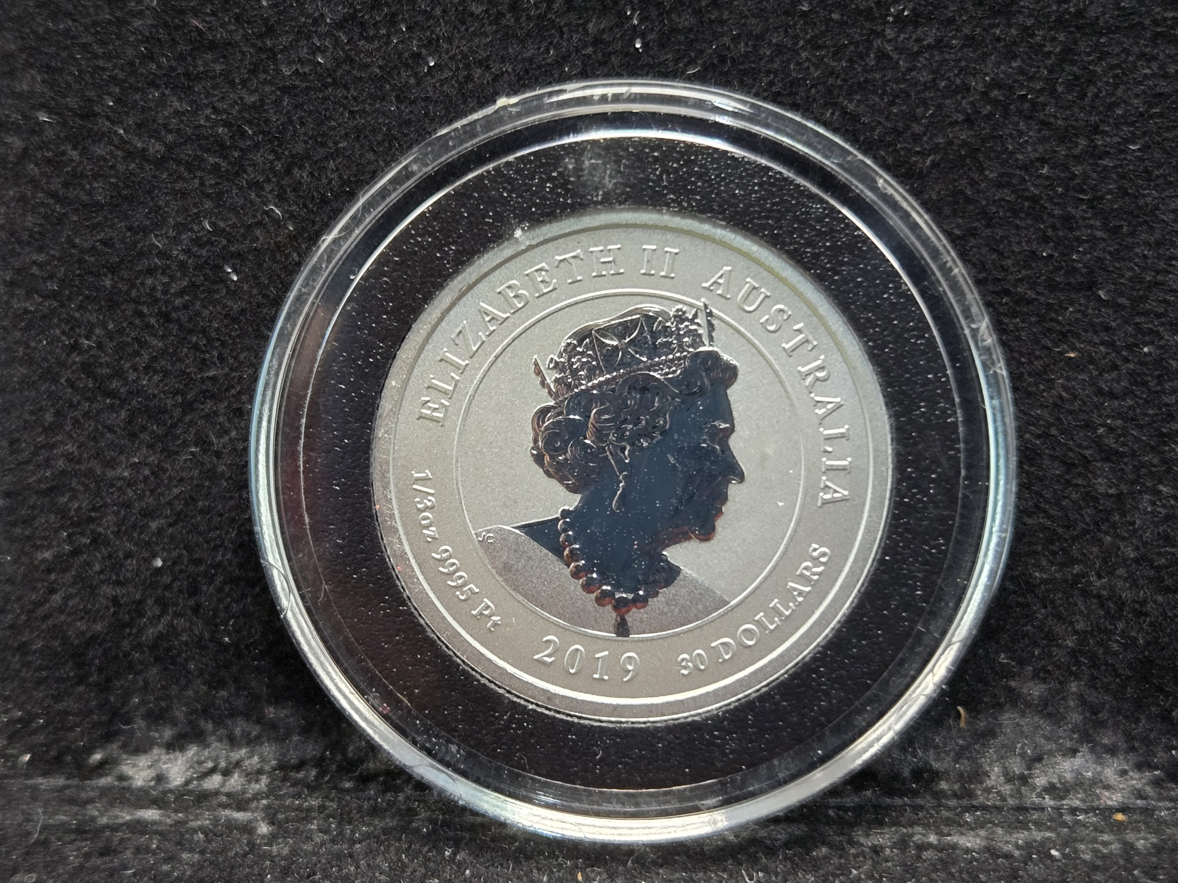 2019 Australia Bottlenose Dolphin 1/3 oz. .9995 Platinum Coin - UNC