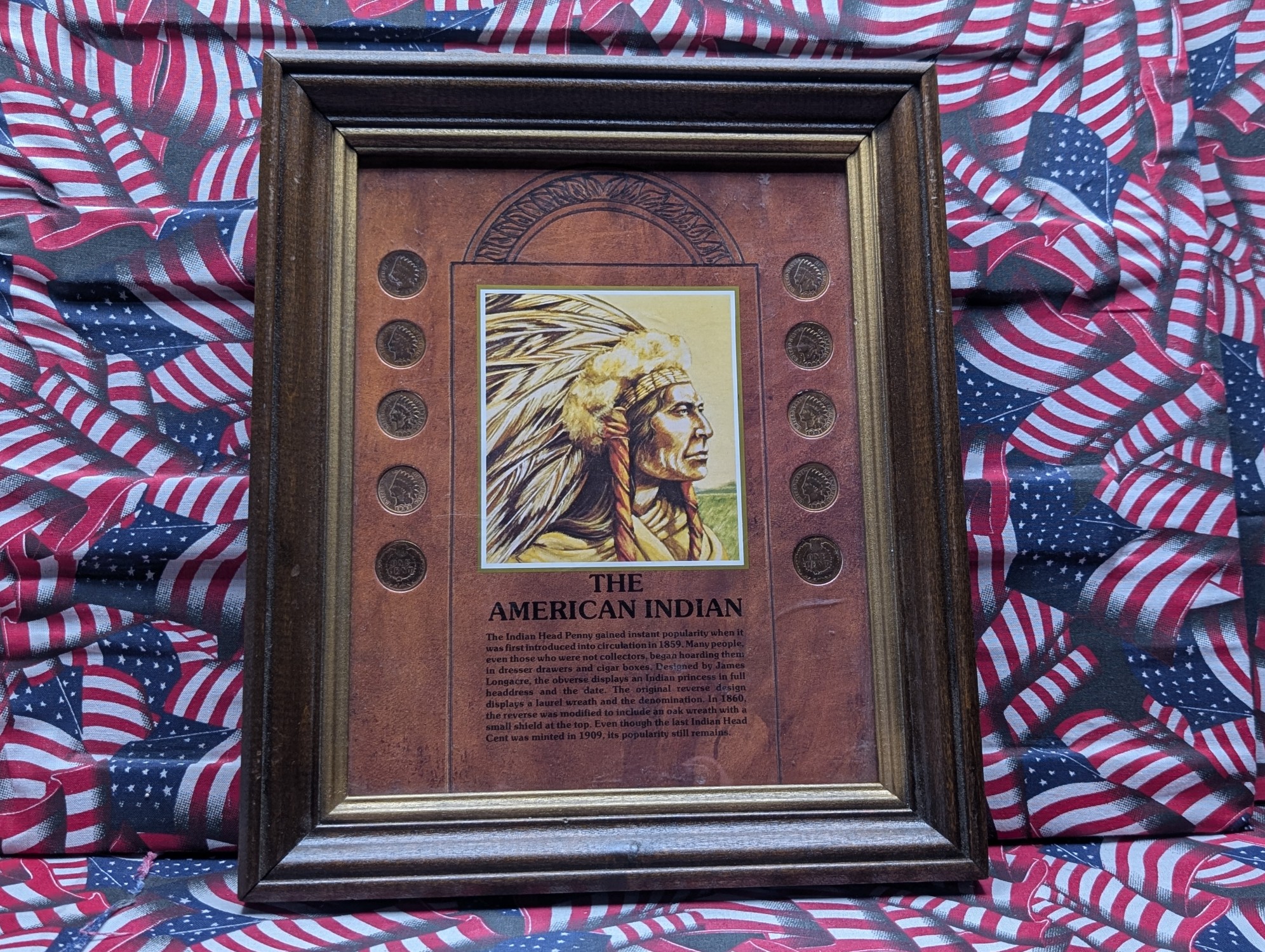 (10) Indian Head Cents In The American Indian Coins Frame