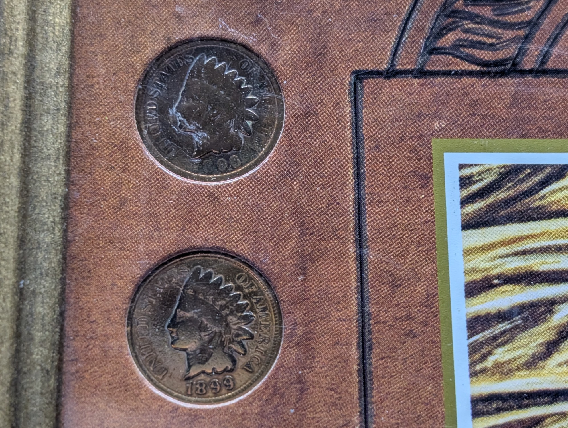 (10) Indian Head Cents In The American Indian Coins Frame