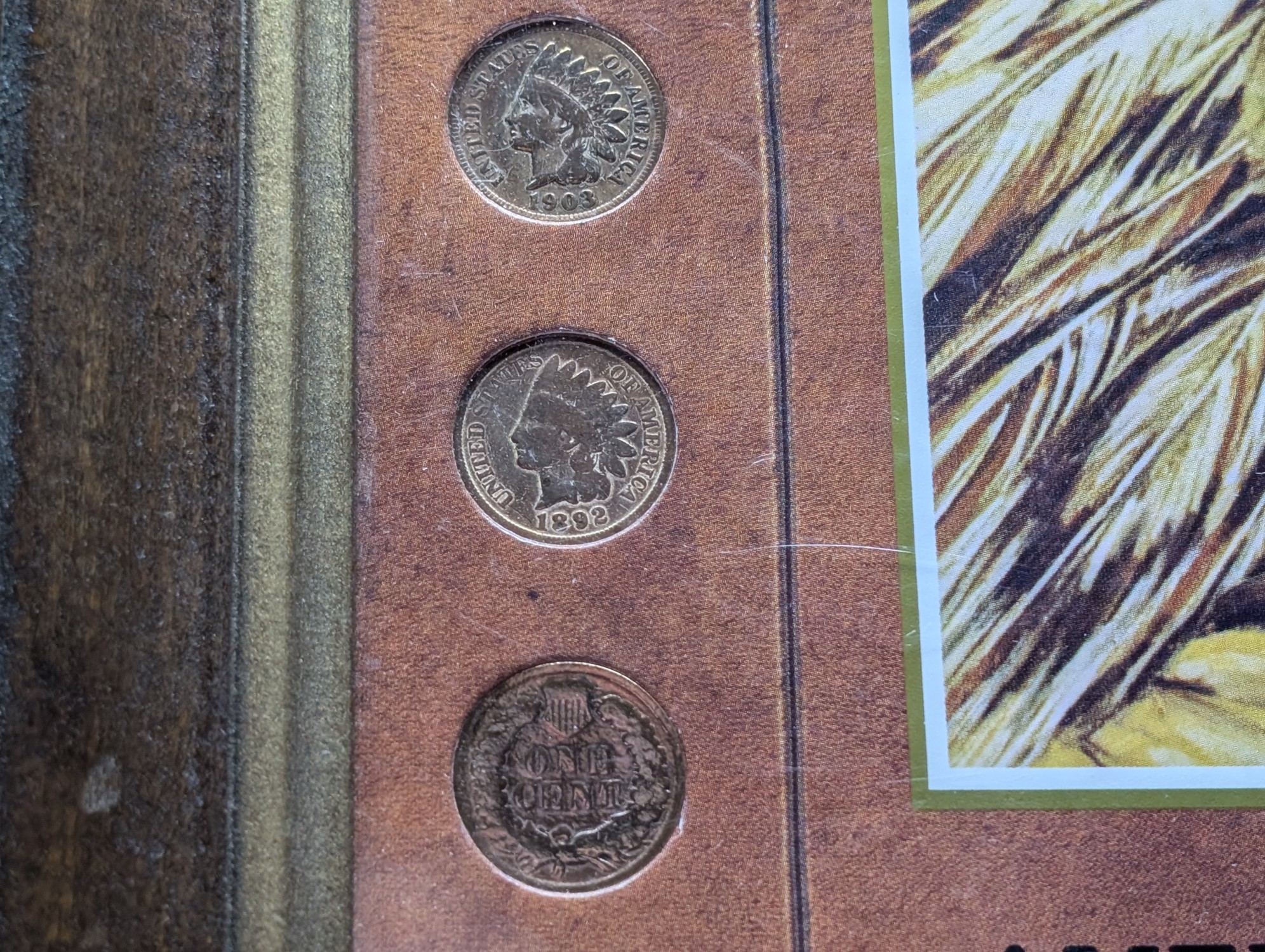 (10) Indian Head Cents In The American Indian Coins Frame