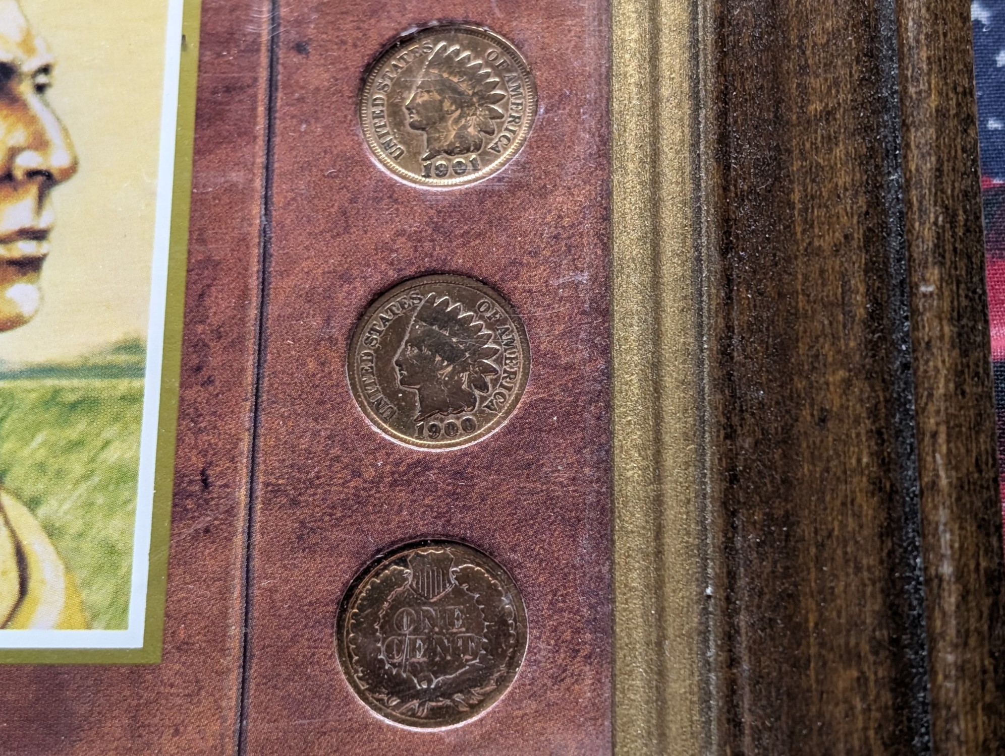 (10) Indian Head Cents In The American Indian Coins Frame