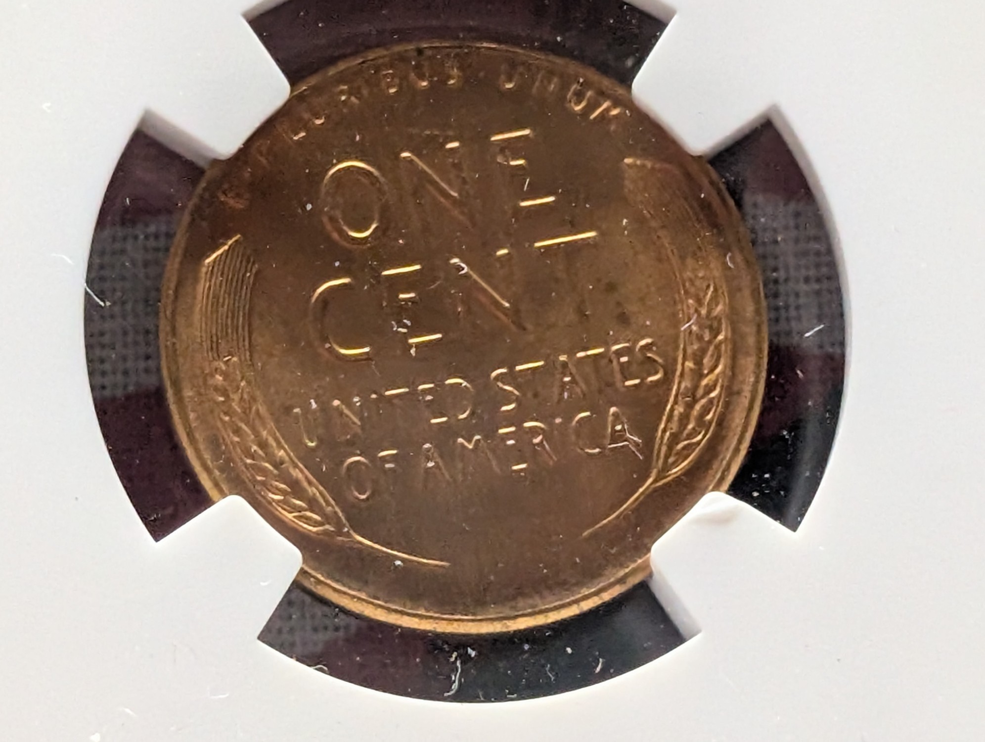 1955 Lincoln Wheat Cent - NGC MS66 RD - Poor Man's Doubled Die